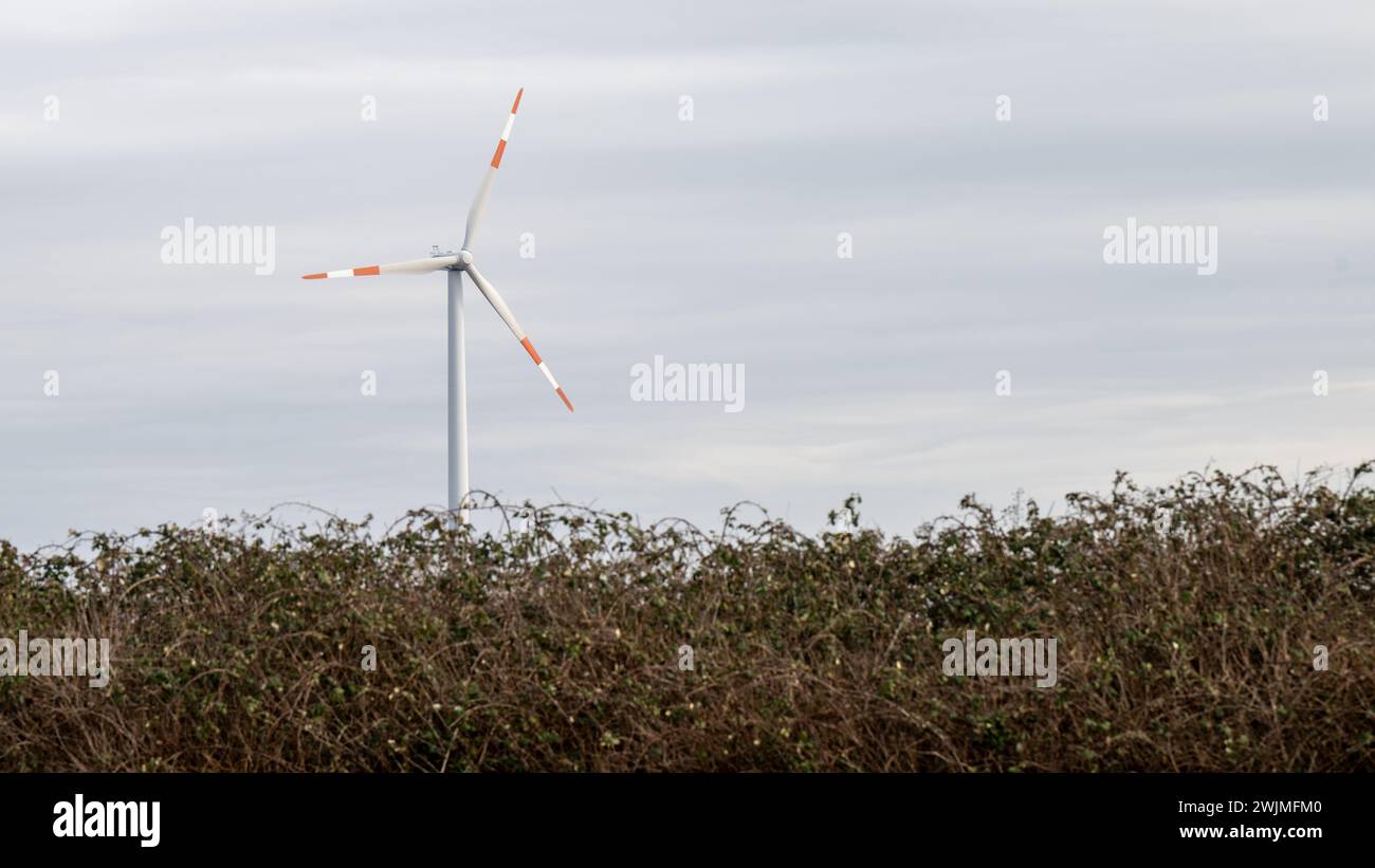 , Wirtschaft, Deutschland, Rheinland-Pfalz, 16.02.2024, Windräder gegen bewölkten Himmel. Symbol grüner Energie. Stockfoto