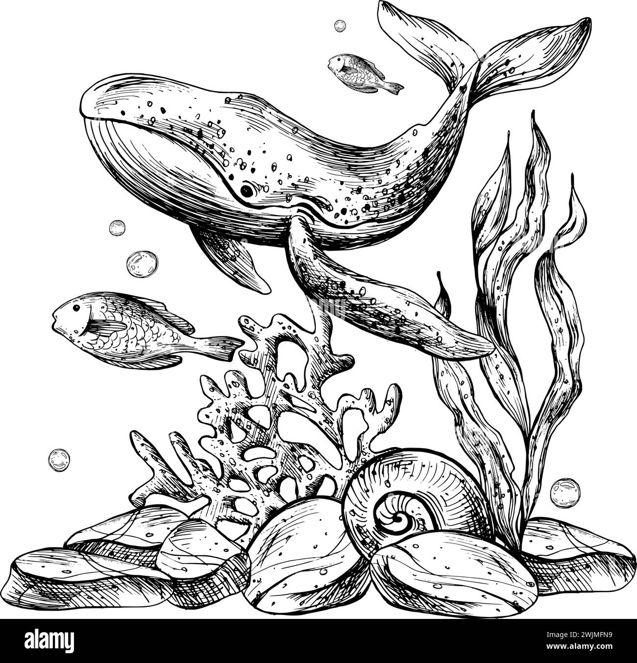 Unterwasserwelt Clipart mit Meerestieren Wale, Fische, Muscheln, Korallen und Algen. Grafische Abbildung, handgezeichnet mit schwarzer Tinte. Zusammensetzung EPS-Vektor Stock Vektor
