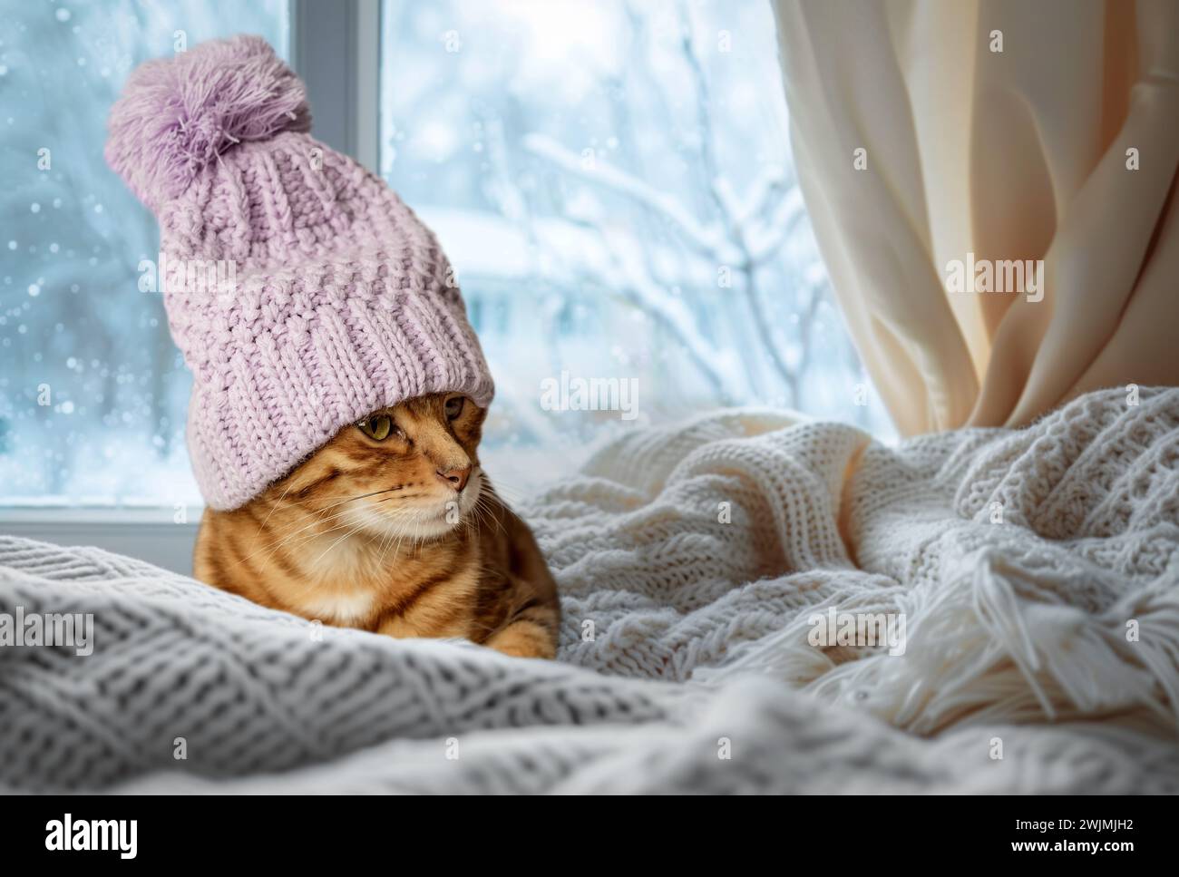 Bengalische Katze mit Hut auf einer warmen, bequemen Fensterbank an einem Wintertag. Das Konzept der Gemütlichkeit an einem Wintertag. Stockfoto