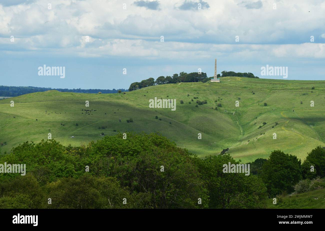 Blick auf das Lansdowne Monument auf Cherhill hinunter vom Morgans Hill Naturschutzgebiet an einem hellen Frühlingstag mit den Hügeln und Bäumen, die in d Stockfoto