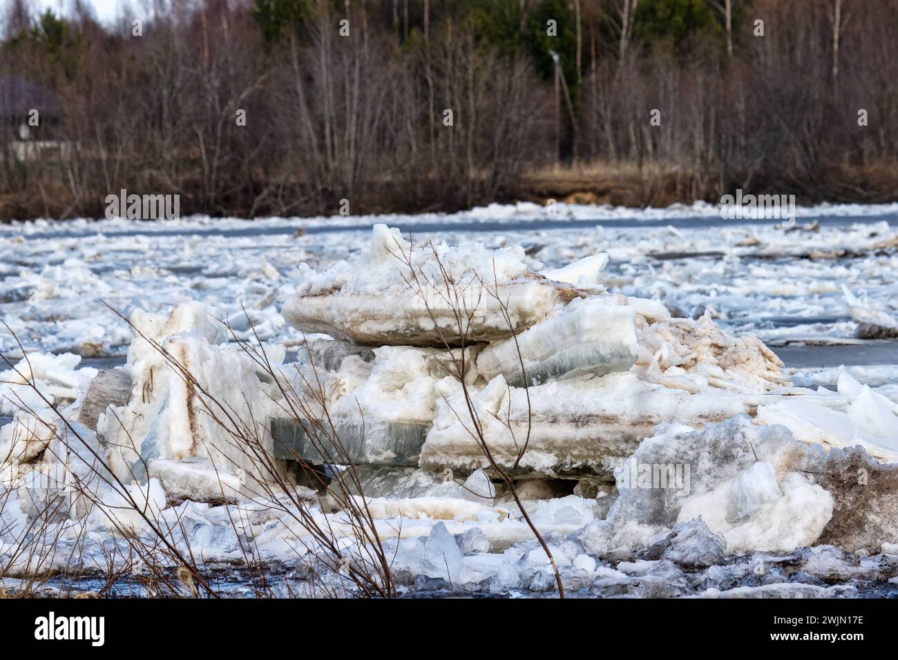Eine Landschaft einer Eisdrift (Eisboom, Debakel) auf dem nördlichen Fluss, Überschwemmungswald. Flüsse des Ladoga-Beckens in Nordosteuropa Stockfoto