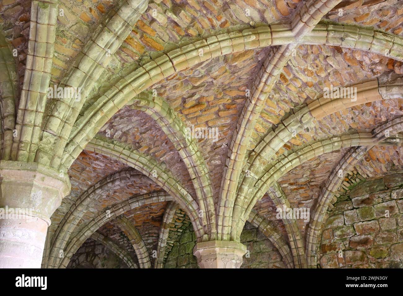 Ruinen des Zisterzienserklosters Buildwas Abbey, Shropshire Großbritannien September Stockfoto