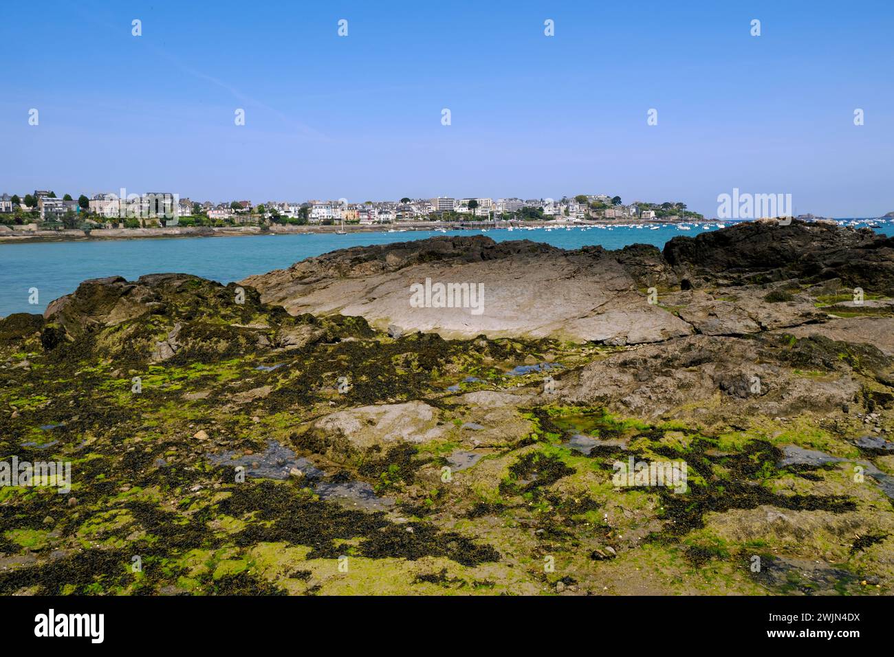 Felsige Küste mit Algen in dinard, einer Gemeinde im Département Ille-et-Vilaine, Bretagne, Nordwestfrankreich. Stockfoto