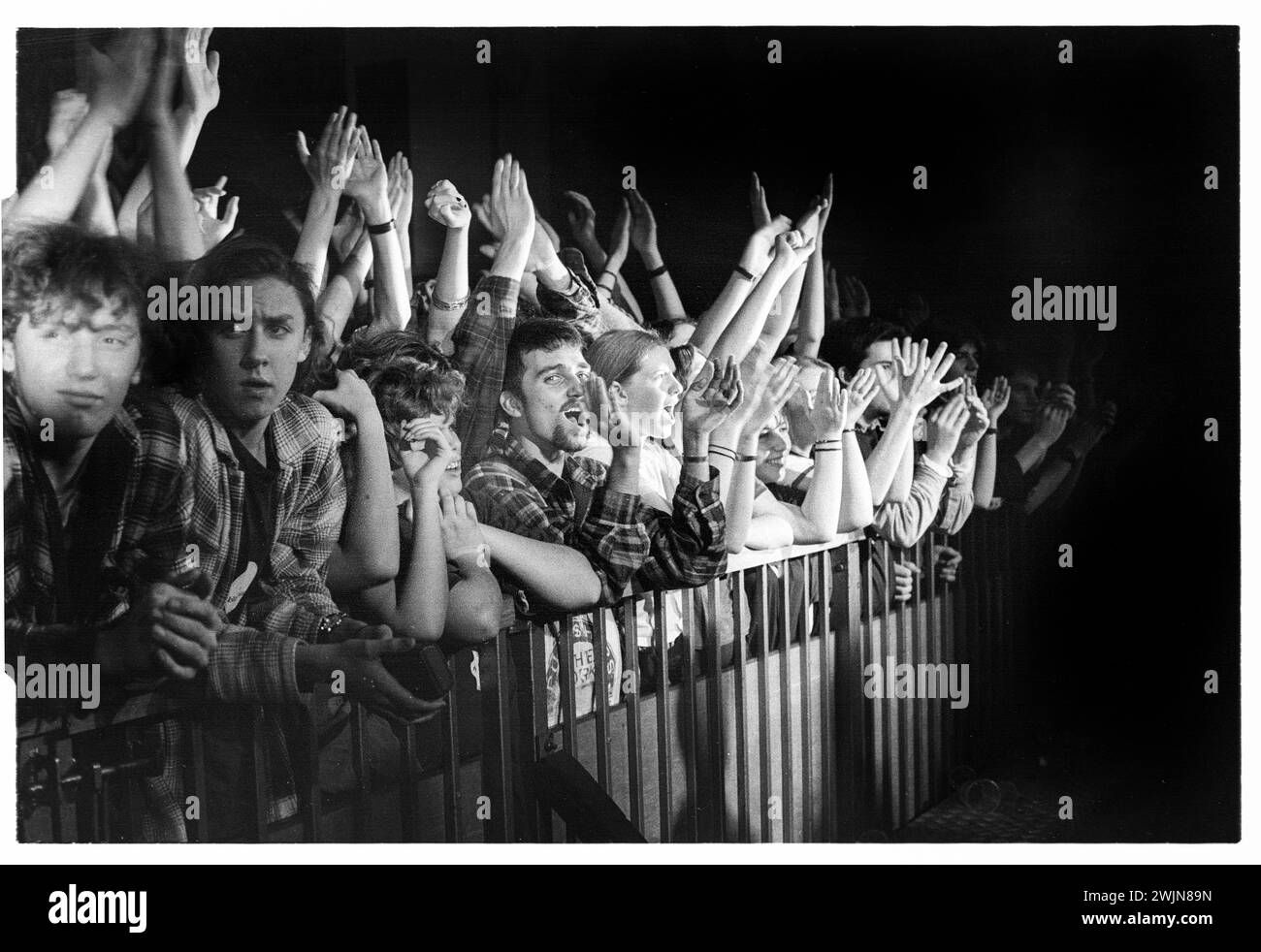 BRITPOP-FANS, ANSON ROOMS, BRISTOL, 1996: Britpop-Fans kämpfen am 20. Januar 1996 gegen die Barriere in den Anson Rooms der Bristol University in Bristol, England. Sie nehmen an der NME Bratbus Tour 1996 Teil, auf der die Cardigans, Bluetones, Fluffy und Heavy Stereo vorgestellt wurden. Foto: Rob Watkins Stockfoto