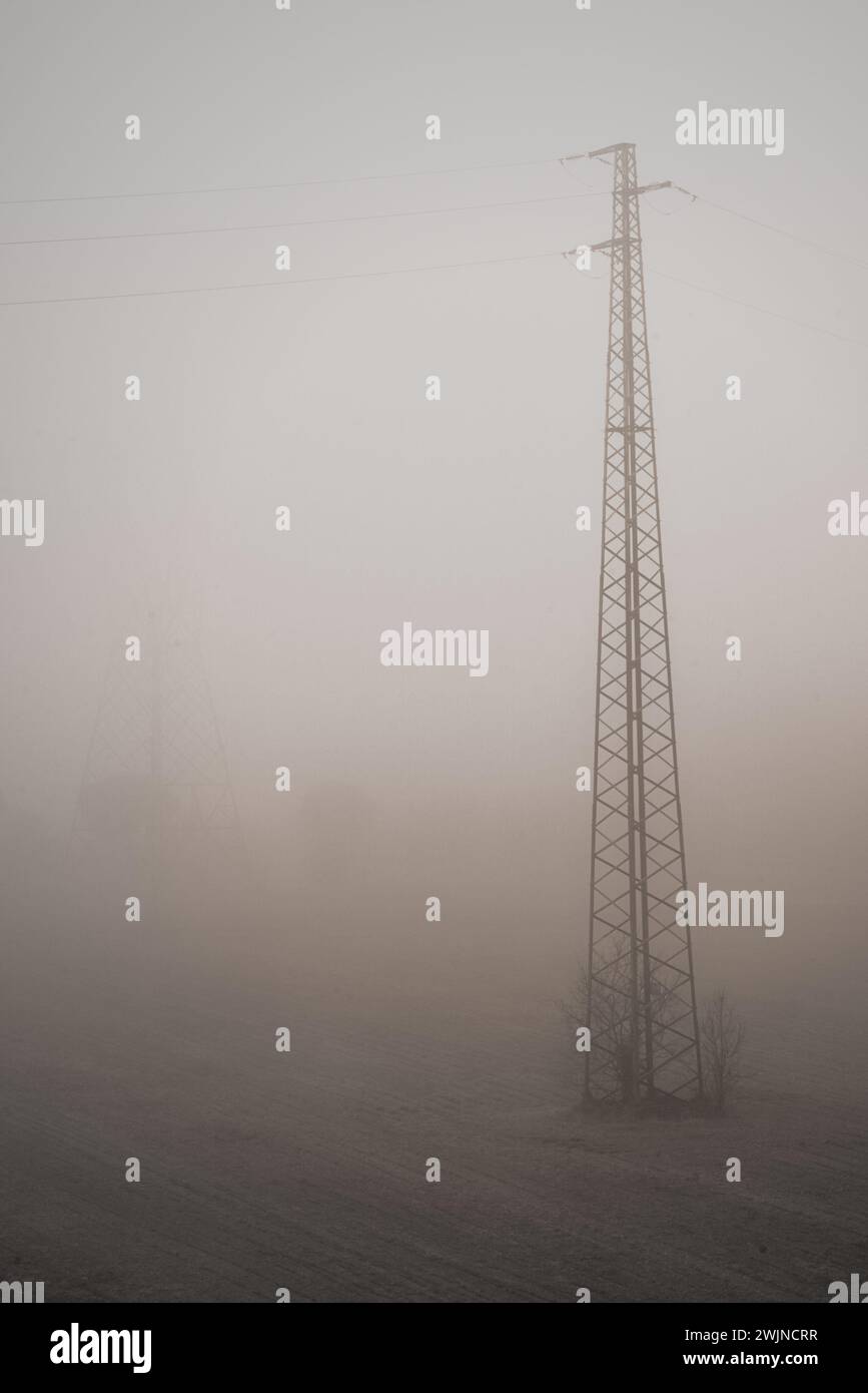 Traurige Landschaft mit Bäumen und Formen, umgeben von Nebel Stockfoto