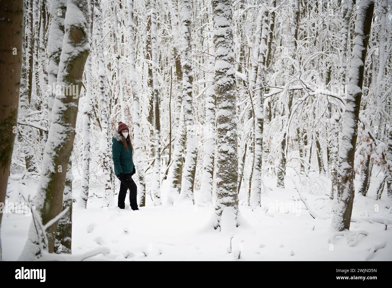 Eine Einzelfigur steht in einem Wald, der von Schnee bedeckt ist, mit weißen Bäumen, die sich in den Hintergrund erstrecken. Die Person trägt eine türkisfarbene Jacke und Stockfoto