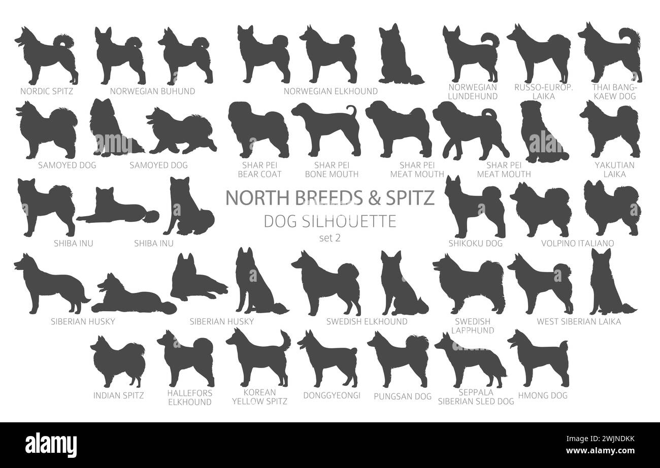 Hunde züchtet Silhouetten einfach Clipart. North Breeds und Spitz Collection. Vektorabbildung Stock Vektor