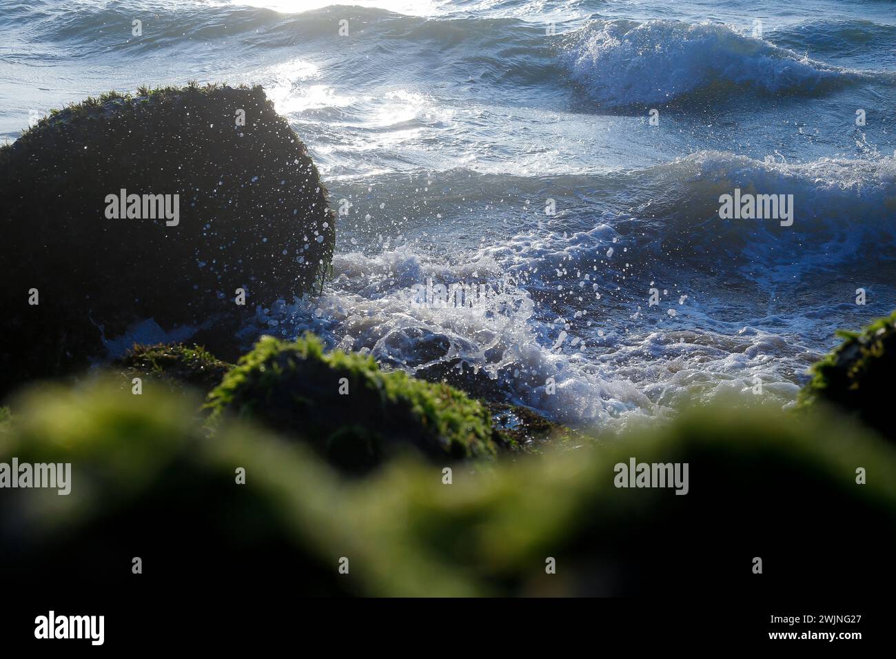 Steinblöcke an der Küste bei sonnigem Wetter des indischen Ozeans. Stockfoto