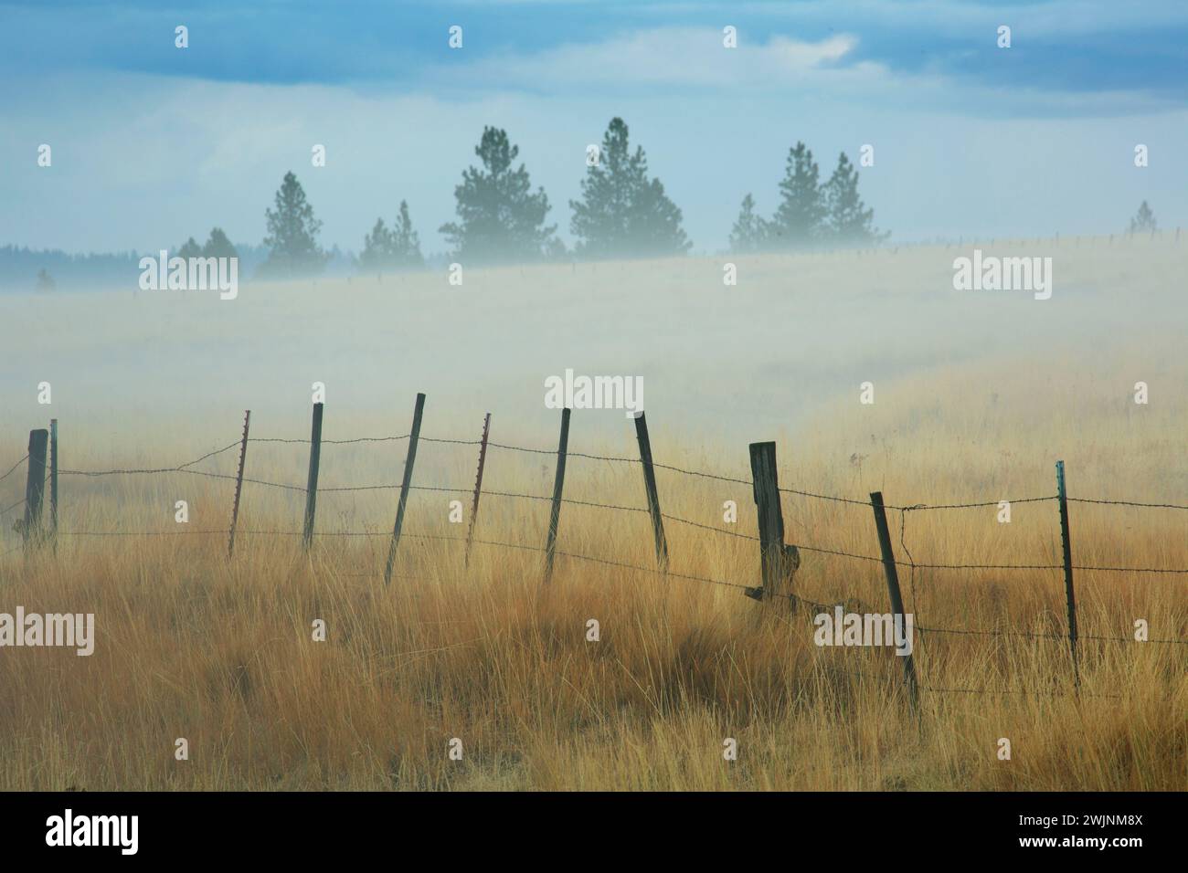 Vieh Zaun auf Zumwalt Prairie, Wallowa County, Oregon Stockfoto