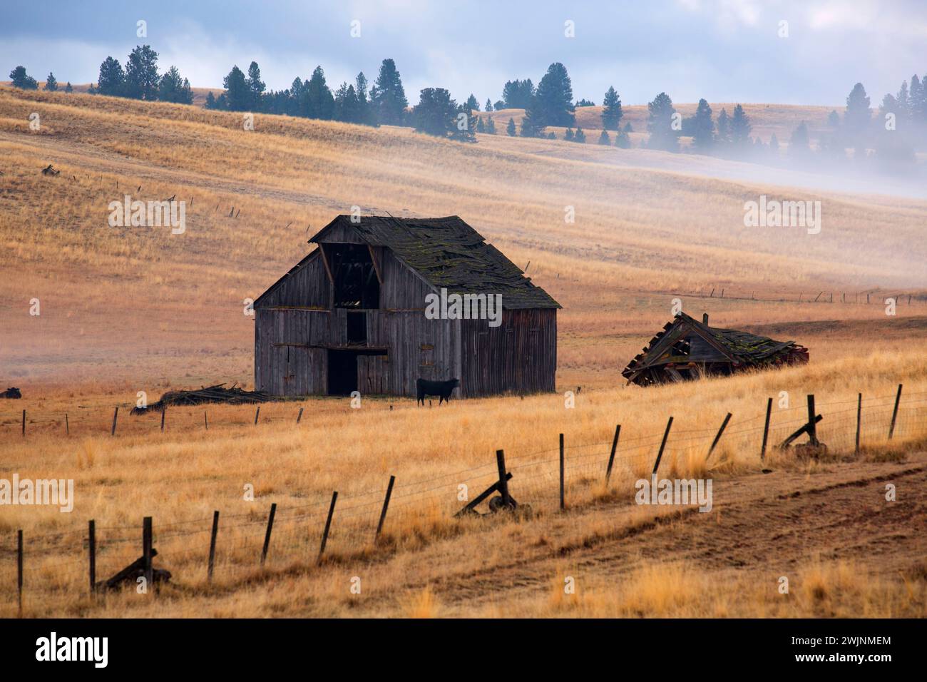 Scheune in Zumwalt Prairie, Wallowa County, Oregon Stockfoto