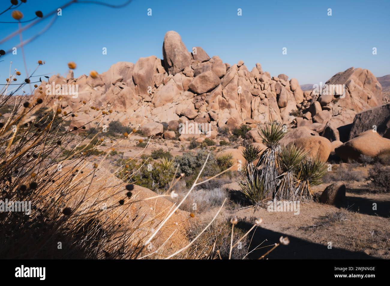 Eine Wüstenlandschaft mit Felsen und Büschen im Vordergrund Stockfoto