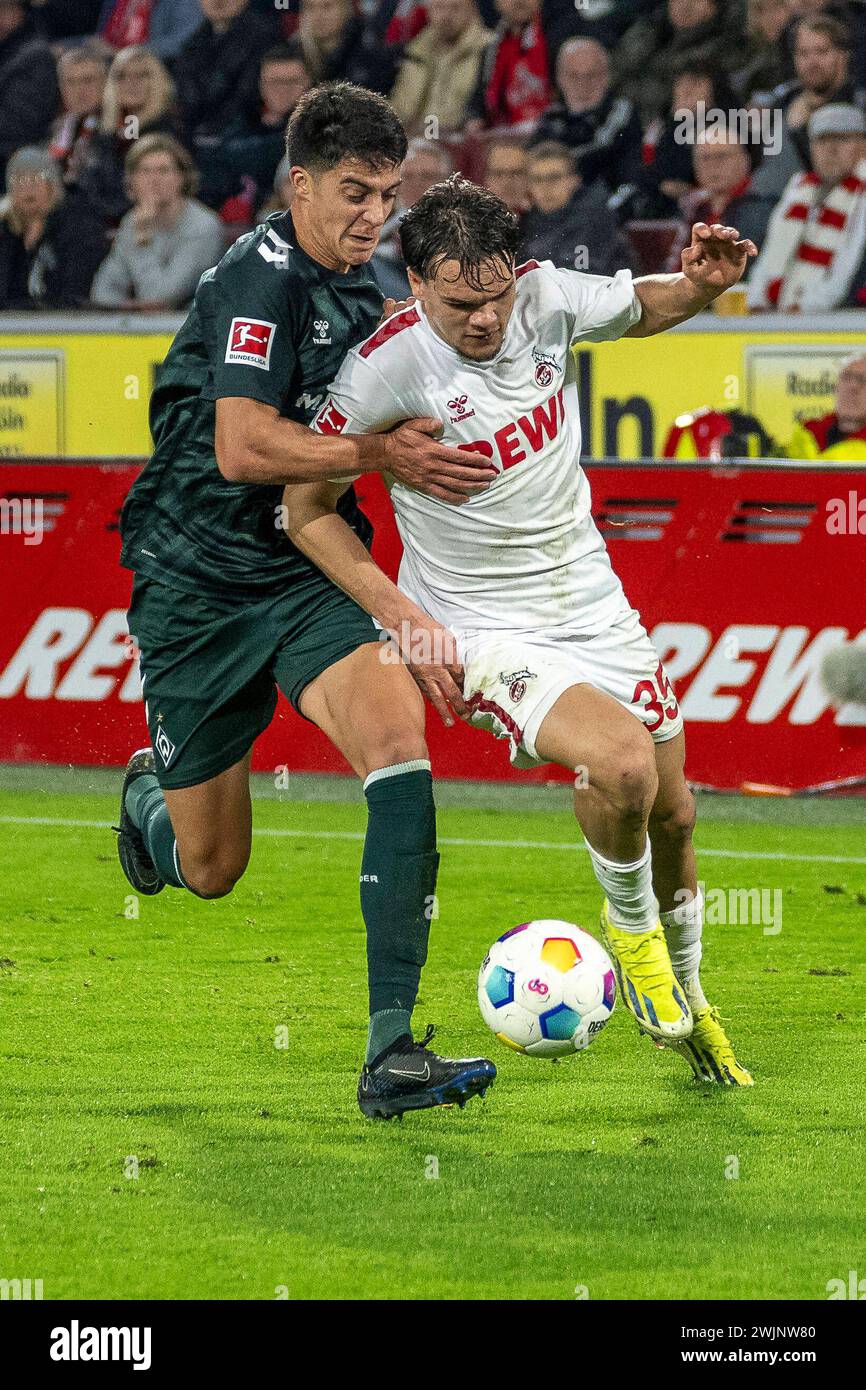 1. FC Köln gegen SV Werder Bremen, Fussball, 1. Bundesliga 22. Spieltag, Saison 2023/2024, 16.02.2024 Zweikampf zwischen Julian Malatini SV Werder Bremen, 22 und Max Finkgraefe 1. FC Köln, 35. Fußball: 1. Bundesliga, Saison 2023/2024, 22. Spieltag, 1. FC Köln - SV Werder Bremen am 16.02.2024 im RheinEnergieStadion Köln. Wichtiger Hinweis: Gemaess den Vorgaben der DFL Deutsche Fussball Liga bzw. Des DFB Deutscher Fussball-Bund ist es untersagt, in dem Stadion und/oder vom Spiel angefertigte Fotoaufnahmen in Form von Sequenzbildern und/oder videoaehnlichen Fotostrecken zu verwerten bzw. v Stockfoto