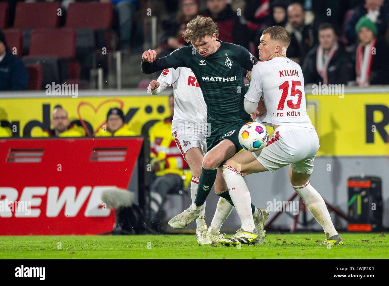 1. FC Köln gegen SV Werder Bremen, Fussball, 1. Bundesliga 22. Spieltag, Saison 2023/2024, 16.02.2024 Zweikampf zwischen Nick Woltemade SV Werder Bremen, 29 und Luca Kilian 1. FC Köln, 15. Fußball: 1. Bundesliga, Saison 2023/2024, 22. Spieltag, 1. FC Köln - SV Werder Bremen am 16.02.2024 im RheinEnergieStadion Köln. Wichtiger Hinweis: Gemaess den Vorgaben der DFL Deutsche Fussball Liga bzw. Des DFB Deutscher Fussball-Bund ist es untersagt, in dem Stadion und/oder vom Spiel angefertigte Fotoaufnahmen in Form von Sequenzbildern und/oder videoaehnlichen Fotostrecken zu verwerten bzw. Verwe Stockfoto