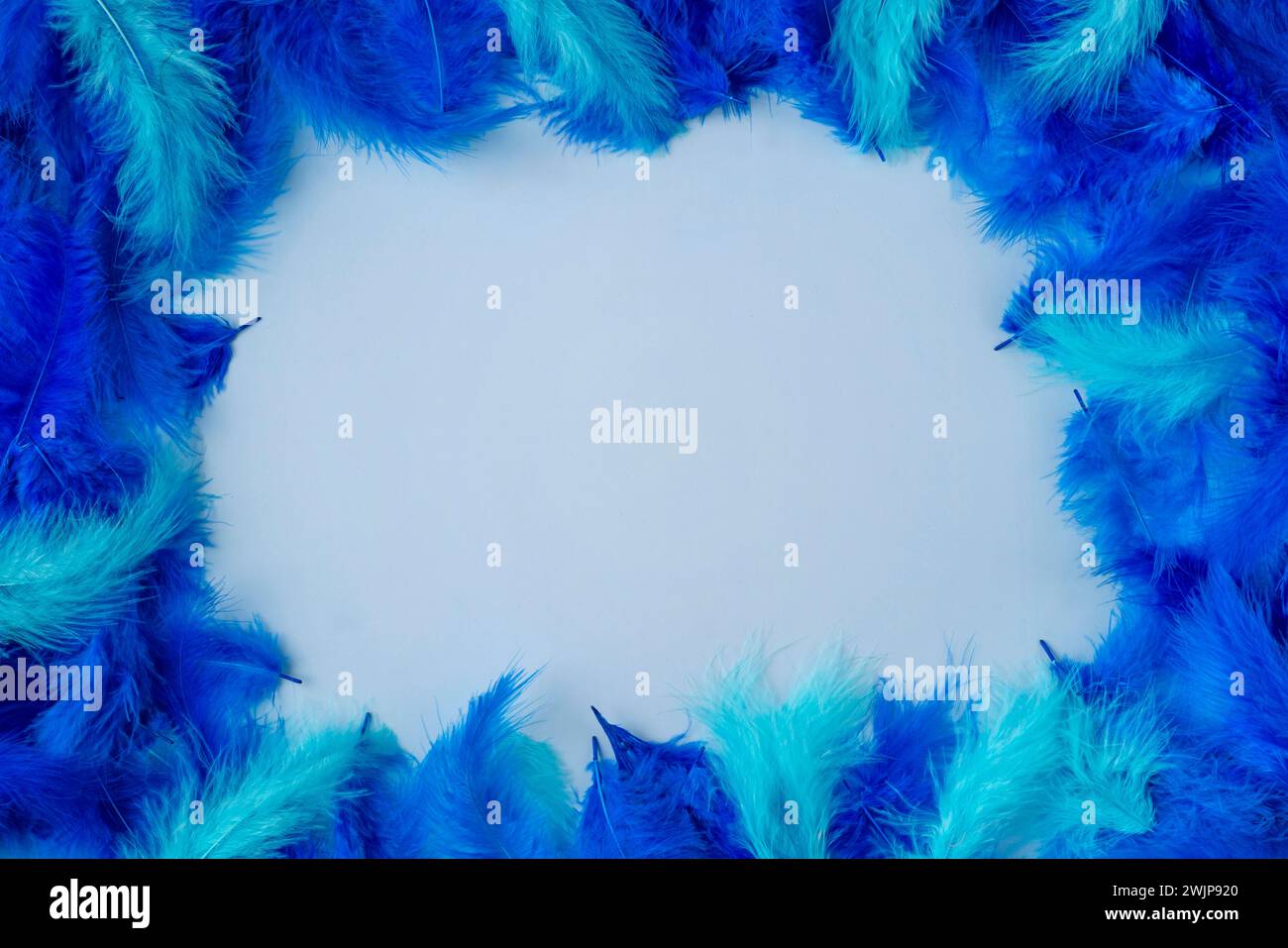 Rahmen aus blauen und türkisfarbenen Federn auf hellblauem Hintergrund Stockfoto
