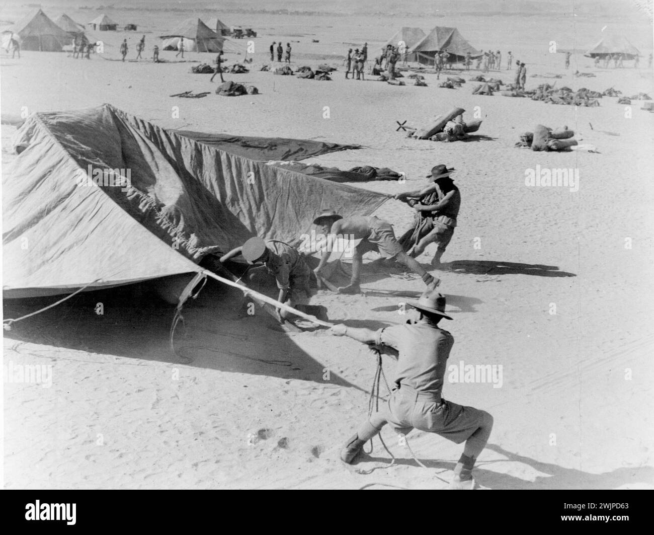 AIF in der westlichen Wüste. Oktober 1940. Stockfoto