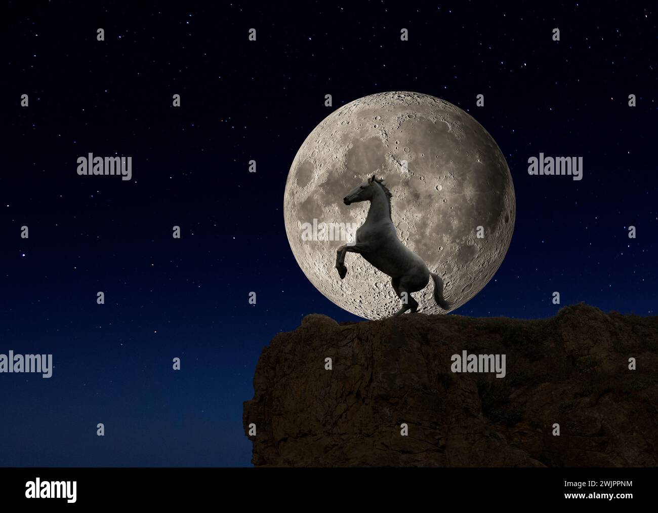 Ein Pferd erhebt sich nachts vor einem Vollmond in einem Bild von Schönheit in der Natur, Macht und Geheimnis. Stockfoto