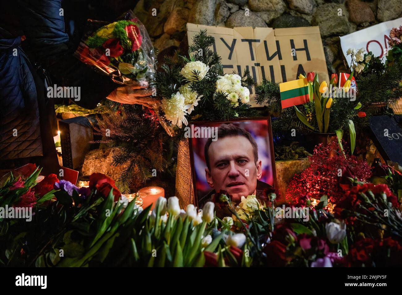 Vilnius, Litauen. Februar 2024. Blumen, Kerzen und ein Bild des verstorbenen russischen Oppositionsführers Alexej Nawalny liegen an einer provisorischen Gedenkstätte während der Aktion zu seinem Gedenken, am Denkmal für die Opfer politischer Repression. Nawalny, ein prominenter Vertreter der russischen Opposition, starb am 16. Februar in einer Arktischen Gefängniskolonie in der Region Yamalo-Nenzen in Nordsibirien, wo er eine 19-jährige Haftstrafe verbüßte. Quelle: SOPA Images Limited/Alamy Live News Stockfoto