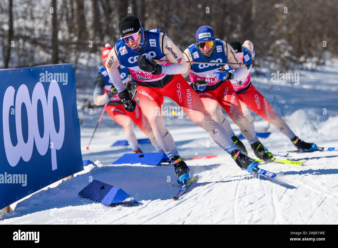 Schweizer Skilanglauf-Läufer runden eine Kurve, während sie sich auf die Loppet Cup-Skirennen der FIS World Cup in Minneapolis, MN, USA, vorbereiten. Stockfoto