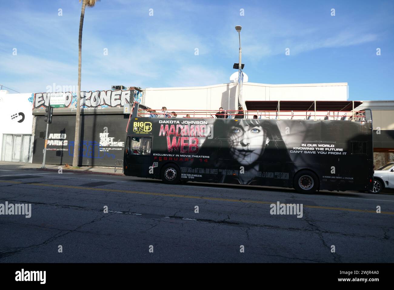 Los Angeles, Kalifornien, USA 15. Februar 2024 Dakota Johnson Marvel Studios Madame Web Bus am 15. Februar 2024 in Los Angeles, Kalifornien, USA. Foto: Barry King/Alamy Stock Photo Stockfoto