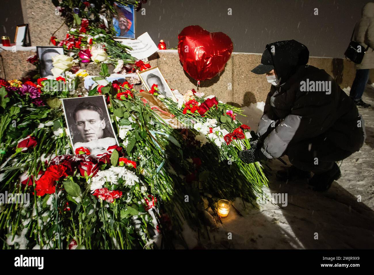 St. Petersburg, Russland. Februar 2024. Ein Trauer legt Blumen an einer spontanen Gedenkstätte zum Gedenken an den verstorbenen russischen Oppositionsführer Alexej Nawalny, die am Denkmal für die Opfer der politischen Unterdrückung auf der Woskresenskaya-Botschaft organisiert wurde. Der russische Oppositionist Alexej Nawalny starb in der Gefängniskolonie Nr. 3 im Autonomen Okrug der Yamalo-Nenzen, berichtete der Pressedienst des Bundesgefängnisses. (Foto von Artem Priakhin/SOPA Images/SIPA USA) Credit: SIPA USA/Alamy Live News Stockfoto