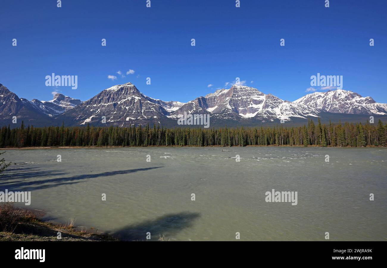 Landschaft mit Sunwapta River, Kanada Stockfoto