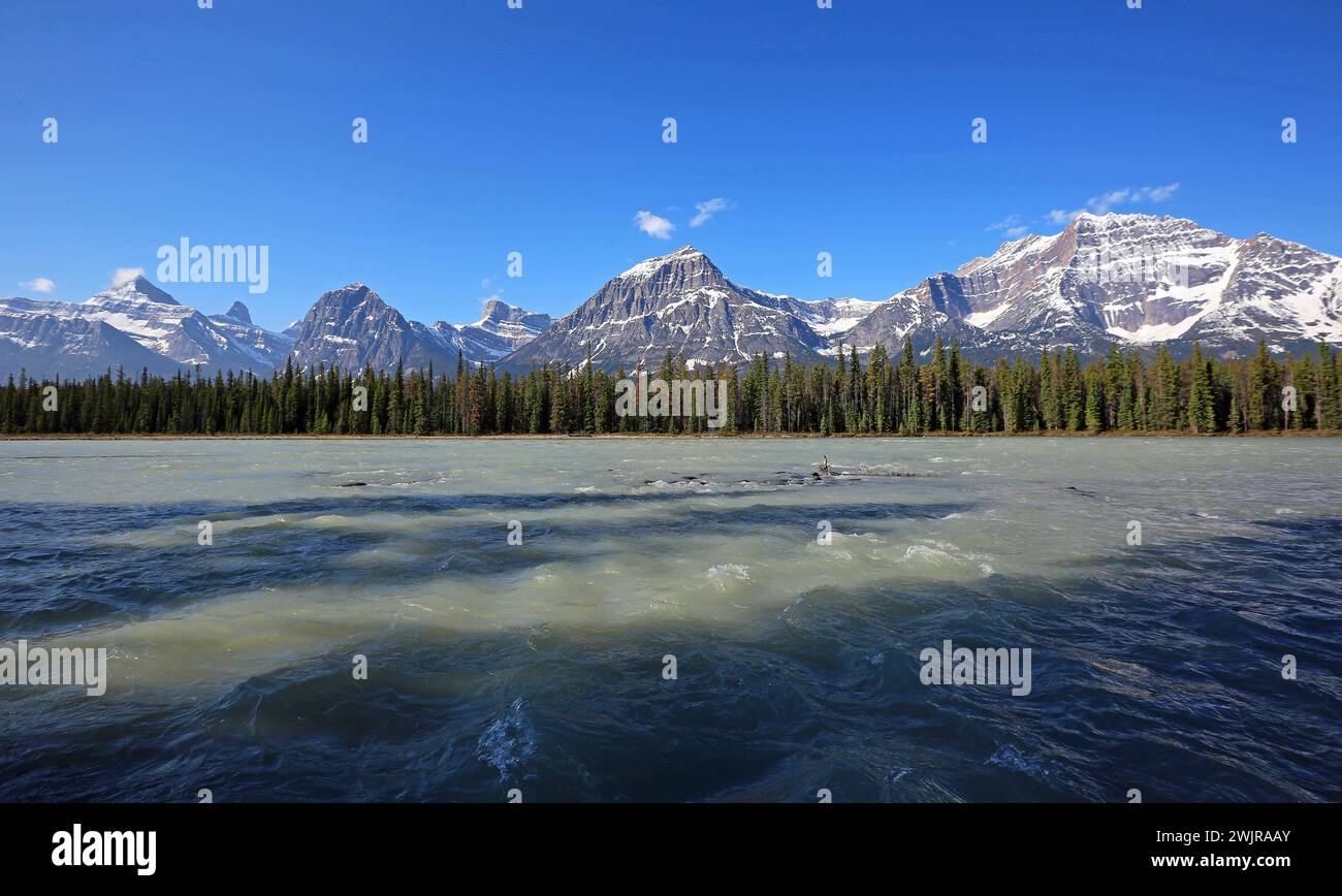 Der Sunwapta River, Kanada Stockfoto