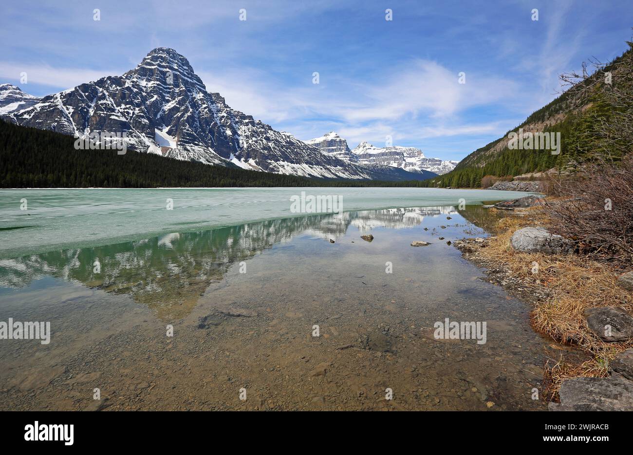 Blick auf Mount Chephren - Waterfowl Lake, Kanada Stockfoto