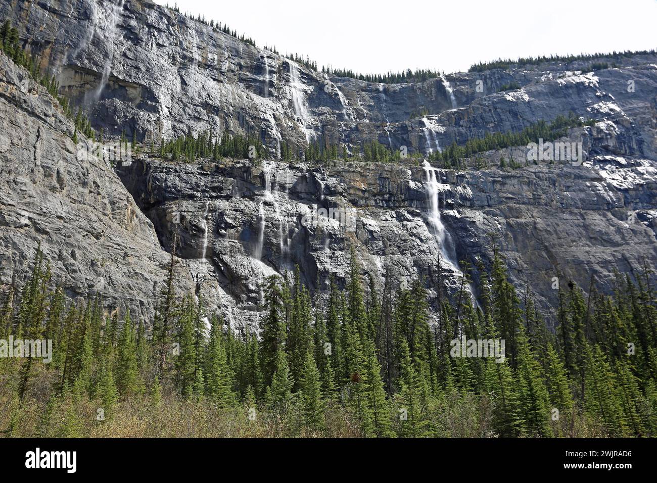 Wasserfälle von Weeping Wall, Kanada Stockfoto