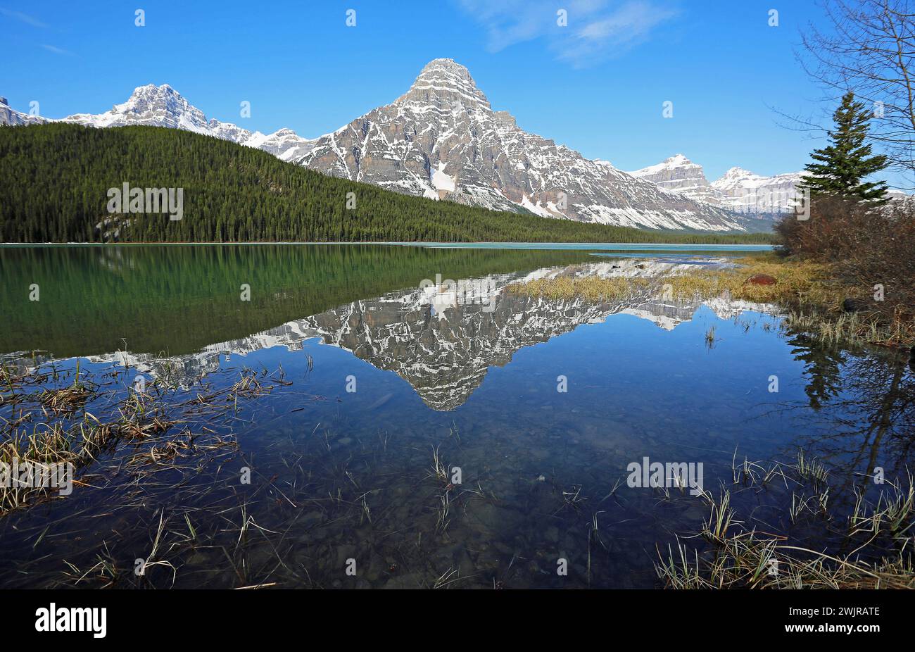 Der Mount Chephren spiegelt sich im Waterfowl Lake, Kanada Stockfoto