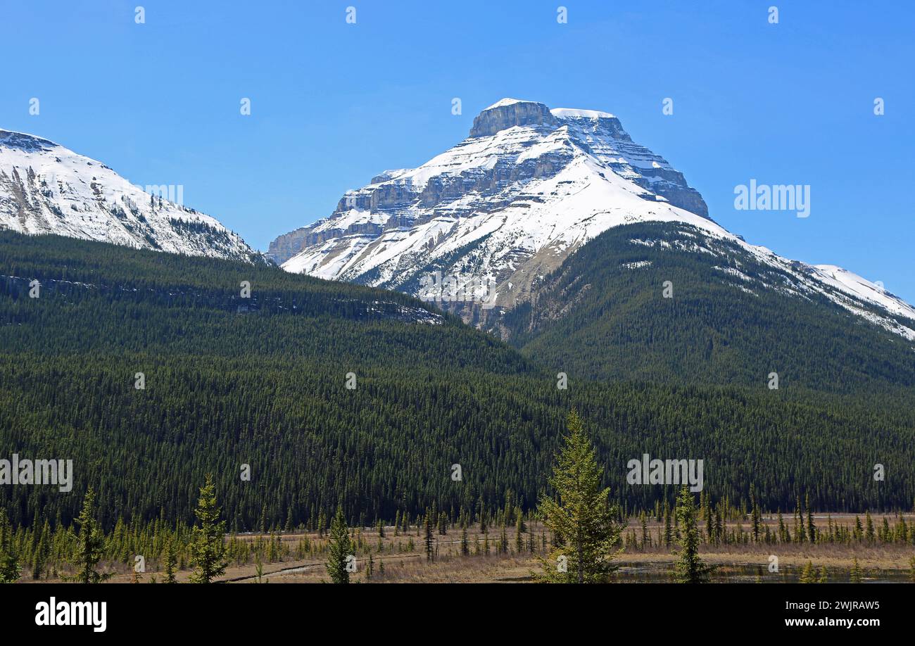 Mt Amery - Rocky Mountains, Kanada Stockfoto