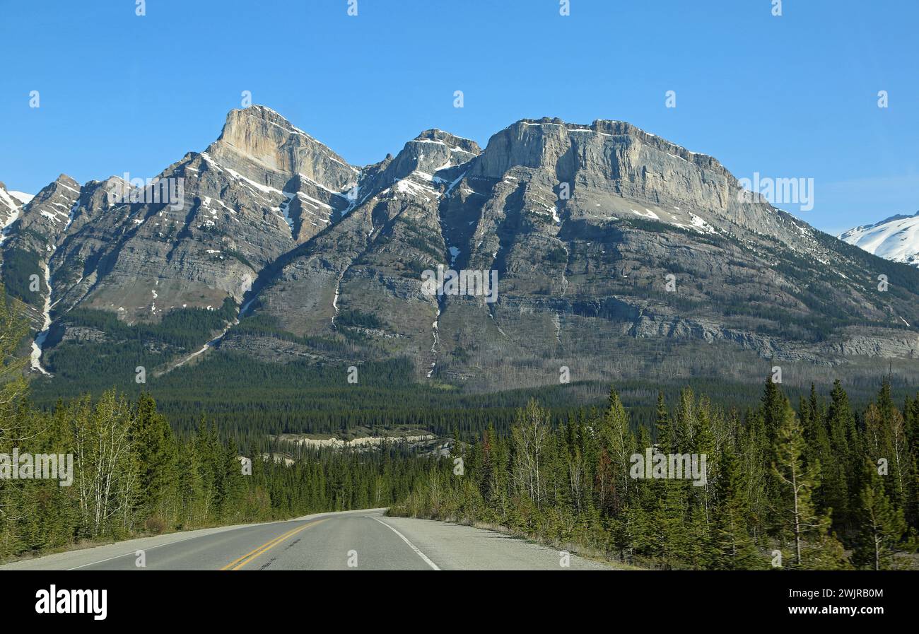 Icefield Parkway, Kanada Stockfoto