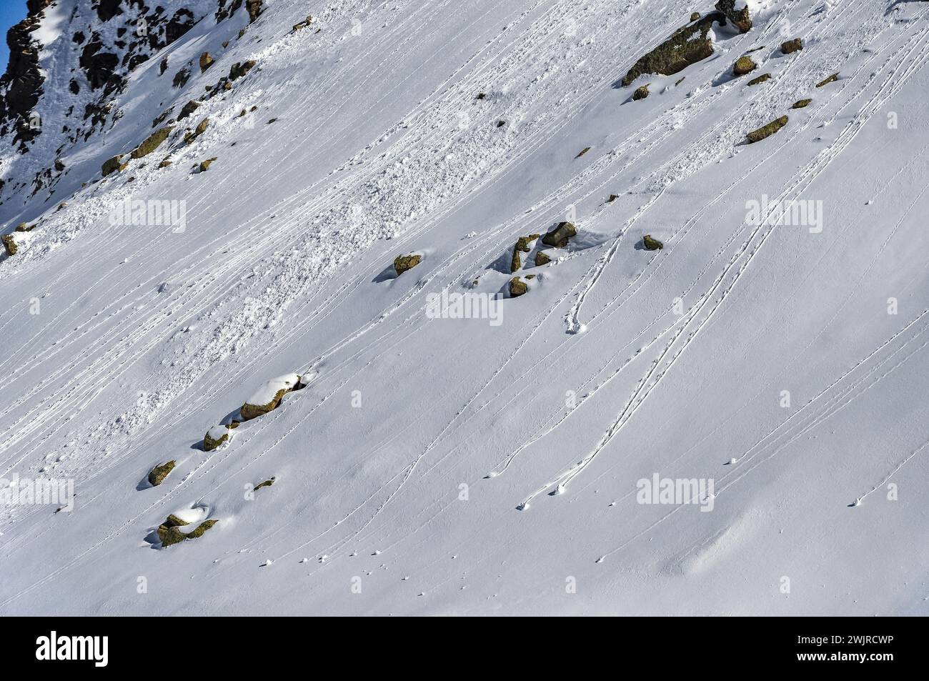 Detail der natürlichen Lawinenspülungen auf einem schneebedeckten Hang in der Nähe von Pas de la Casa (Andorra, Pyrenäen) ESP: Detalle de purgas naturales de aludes en Andorra Stockfoto