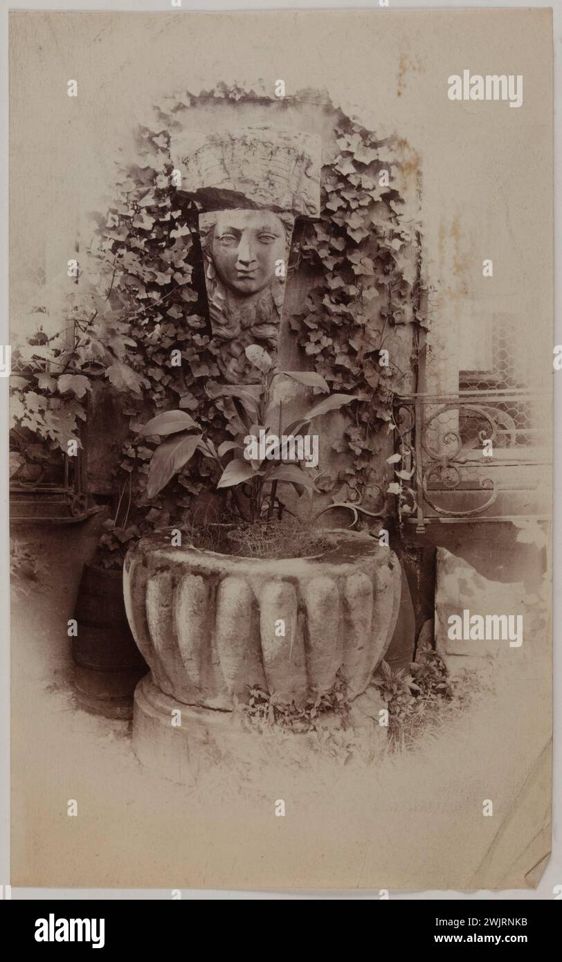 Anonym. "Äußerer Blumentopf, überragt von einem Skulpturenfragment, Paris". Albuminpapier zeichnet. Paris, Carnavalet Museum. 123821-9 Stockfoto