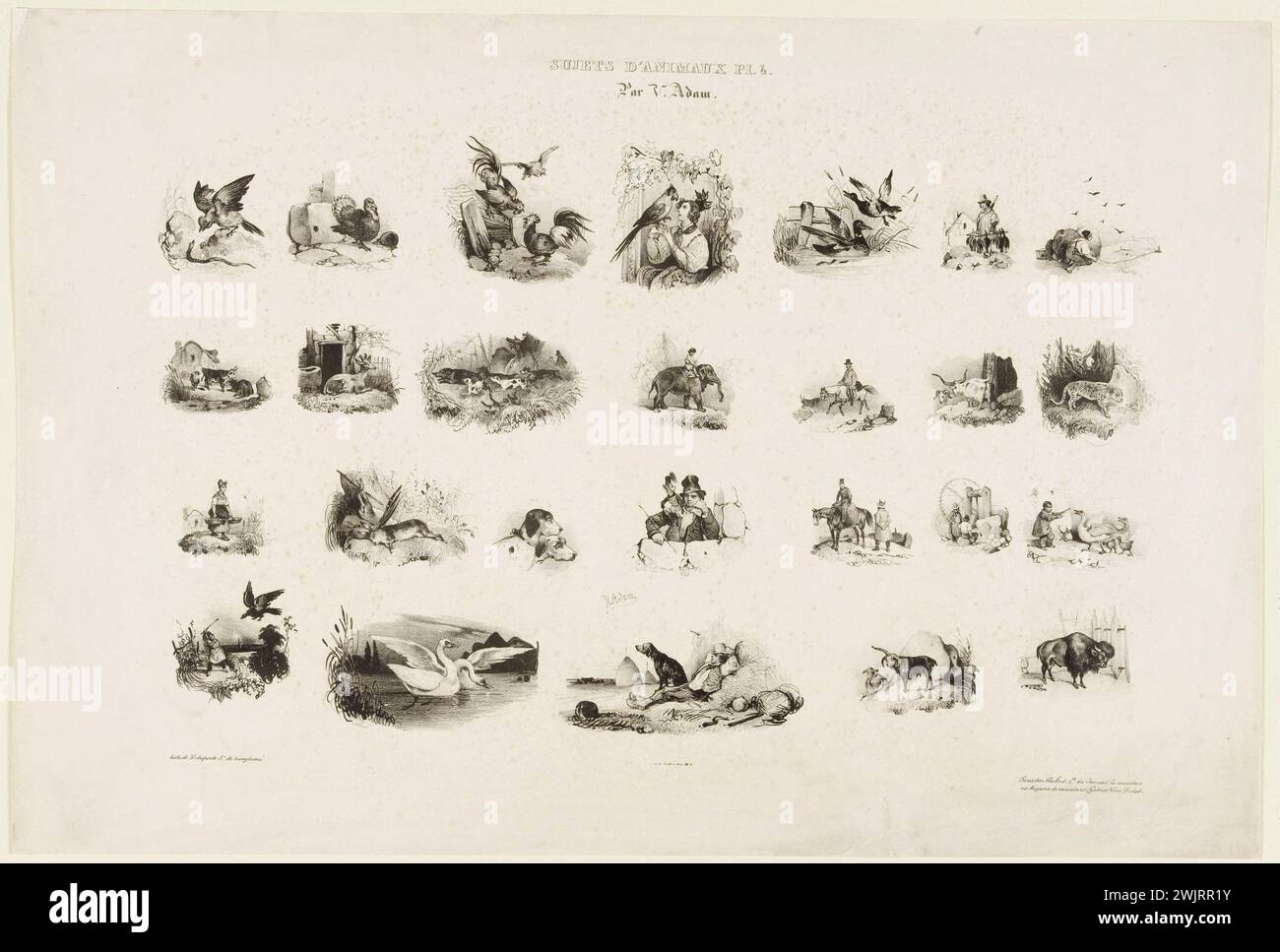 Jean-Victor Adam, bekannt als Victor Adam (1801–1866). „Tiersubjekte (pl. 4)“. Lithographie. 1832. Paris, Museum Carnavalet. Lithographie, 4. Platte, Thema, Tier Stockfoto