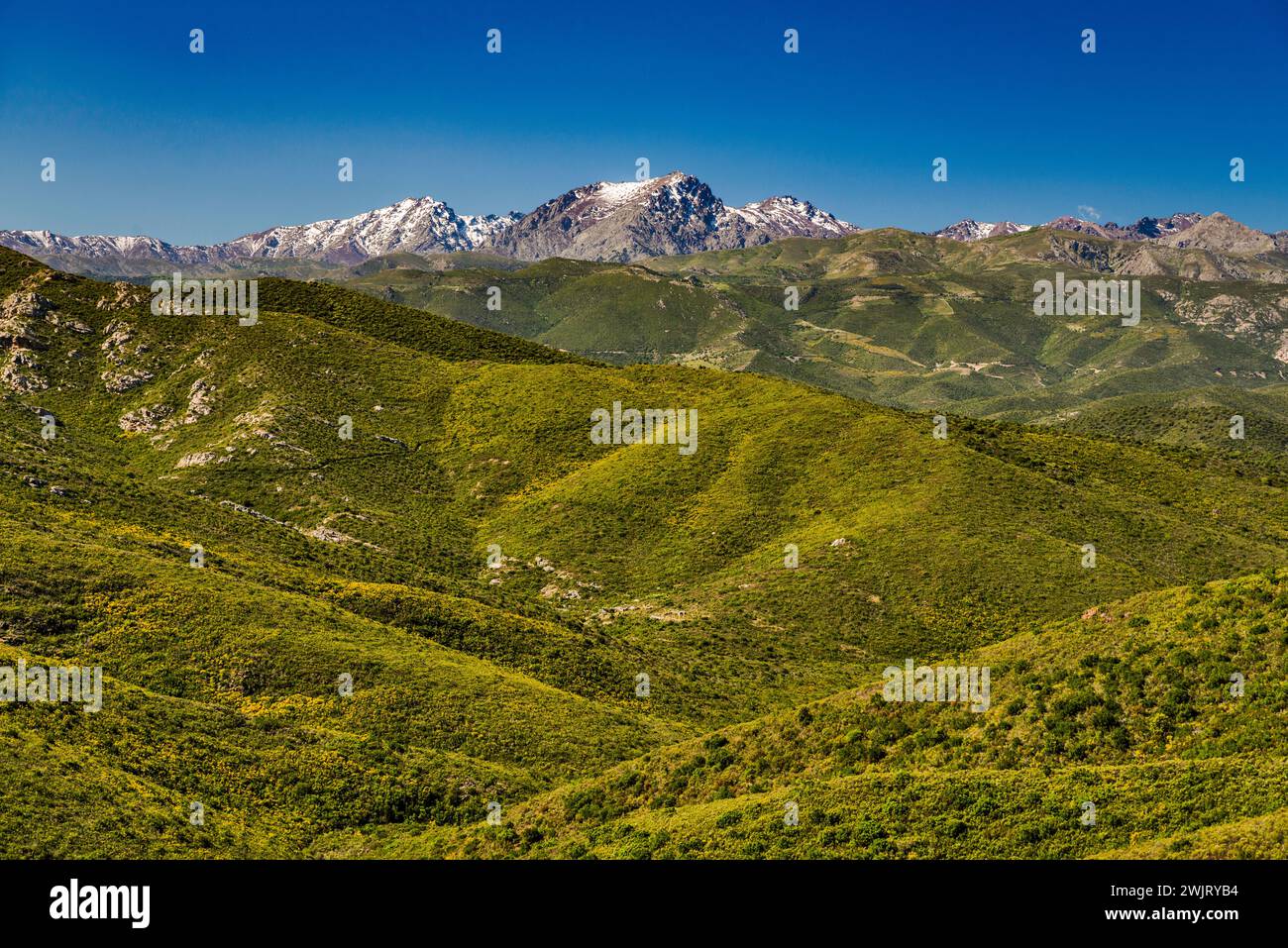 Ferne schneebedeckte Gipfel in der Balagne, Ansicht von Bocca di Vezzu View Point, Desert des Agriates, Haute-Corse, Korsika, Frankreich Stockfoto