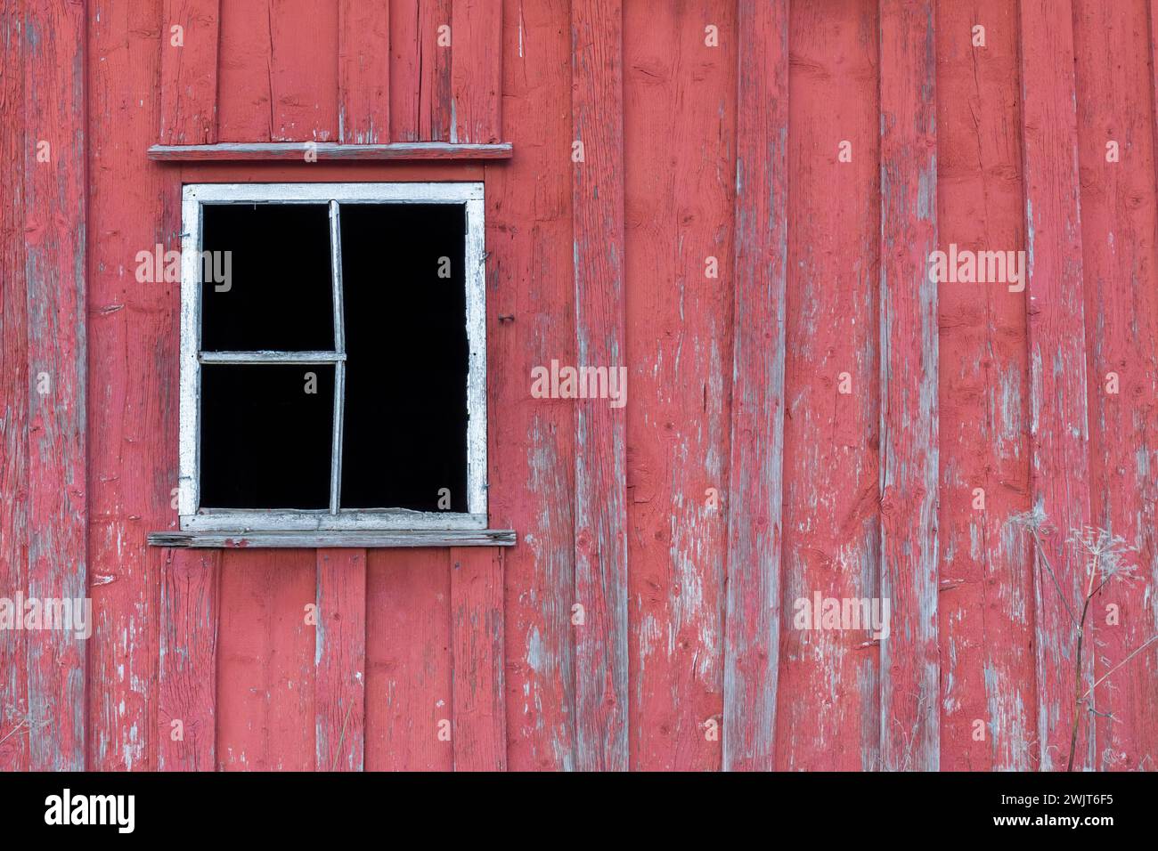 Rote Wand mit verwitterten Brettern und gerissener Farbe. Gebrochener Fensterrahmen ohne Glas. Stockfoto
