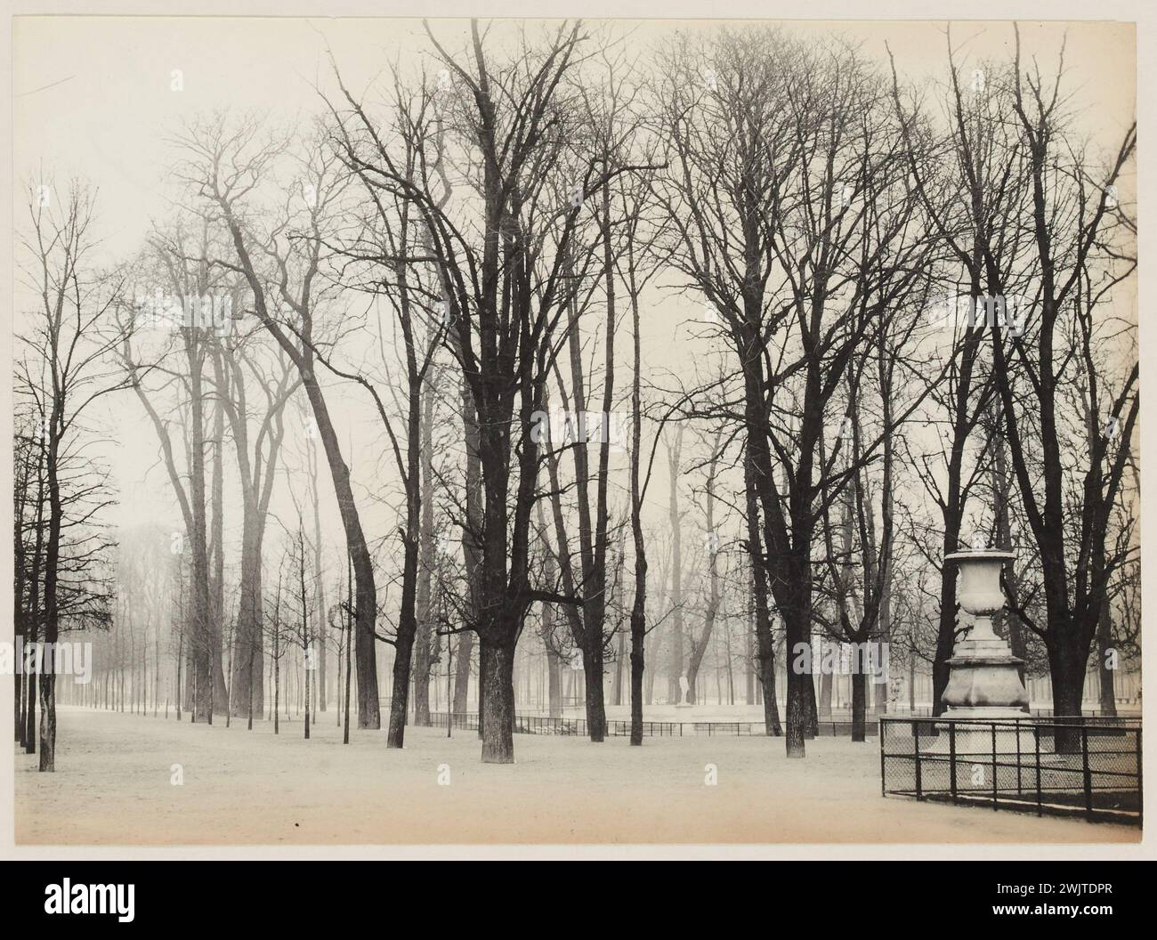 Blancard, Hippolyte (1843 - D.1924), eine große Gasse parallel zur zentralen Allee des Tuilerien-Gartens mit einer Vase im ersten Plan rechts, 1. Arrondissement, Paris (Dummy-Titel), 1890. Platin-Verlosung. Carnavalet Museum, Geschichte von Paris. Stockfoto