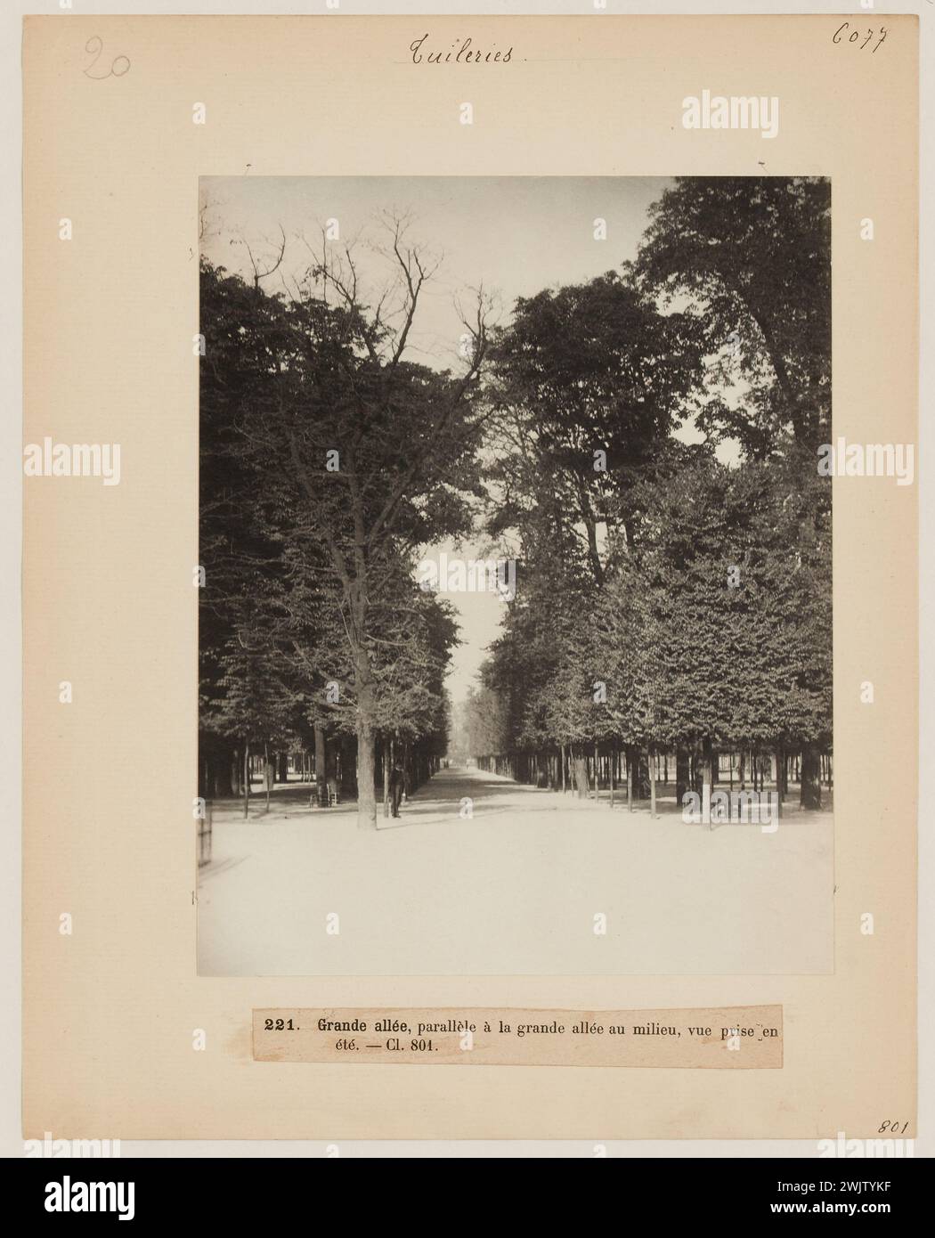 Blancard, Hippolyte (1843 - D.1924), eine große Gasse parallel zur großen zentralen Gasse des Tuilerien-Gartens im Sommer, 1. Arrondissement, Paris (Dummy-Titel), 1890. Platin-Verlosung. Carnavalet Museum, Geschichte von Paris. Stockfoto