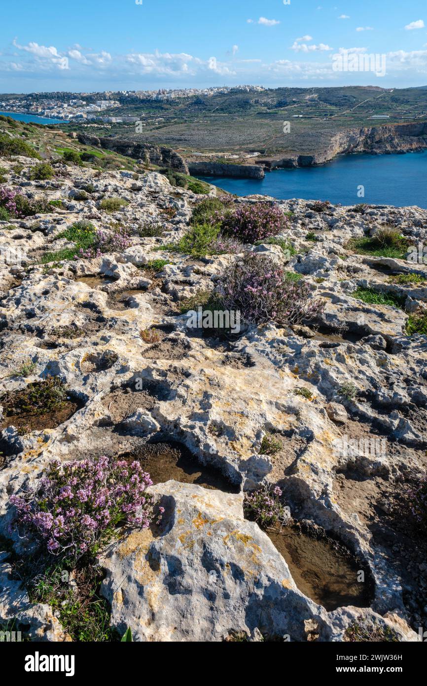 Blick von der Kalksteingarrige am Marfa Ridge in Richtung Mellieha, Malta Stockfoto