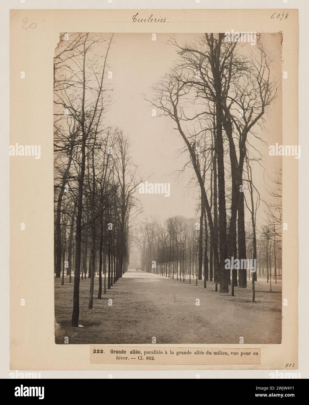 Blancard, Hippolyte (1843 - D.1924), eine große Gasse parallel zur großen zentralen Gasse des Tuilerien-Gartens, im Winter, 1. Arrondissement, Paris (Dummy-Titel), 1890. Platin-Verlosung. Carnavalet Museum, Geschichte von Paris. Stockfoto