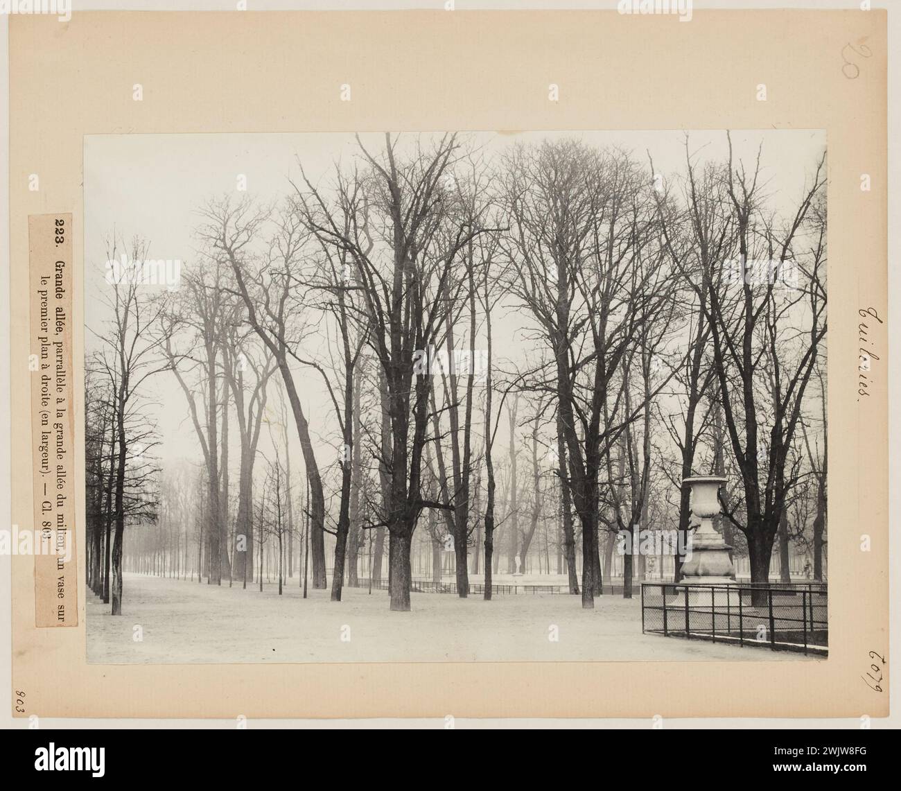 Blancard, Hippolyte (1843 - D.1924), eine große Gasse parallel zur großen zentralen Gasse des Tuilerien-Gartens mit einer Vase im ersten Plan rechts, 1. Arrondissement, Paris (Dummy-Titel), 1890. Platin-Verlosung. Carnavalet Museum, Geschichte von Paris. Stockfoto