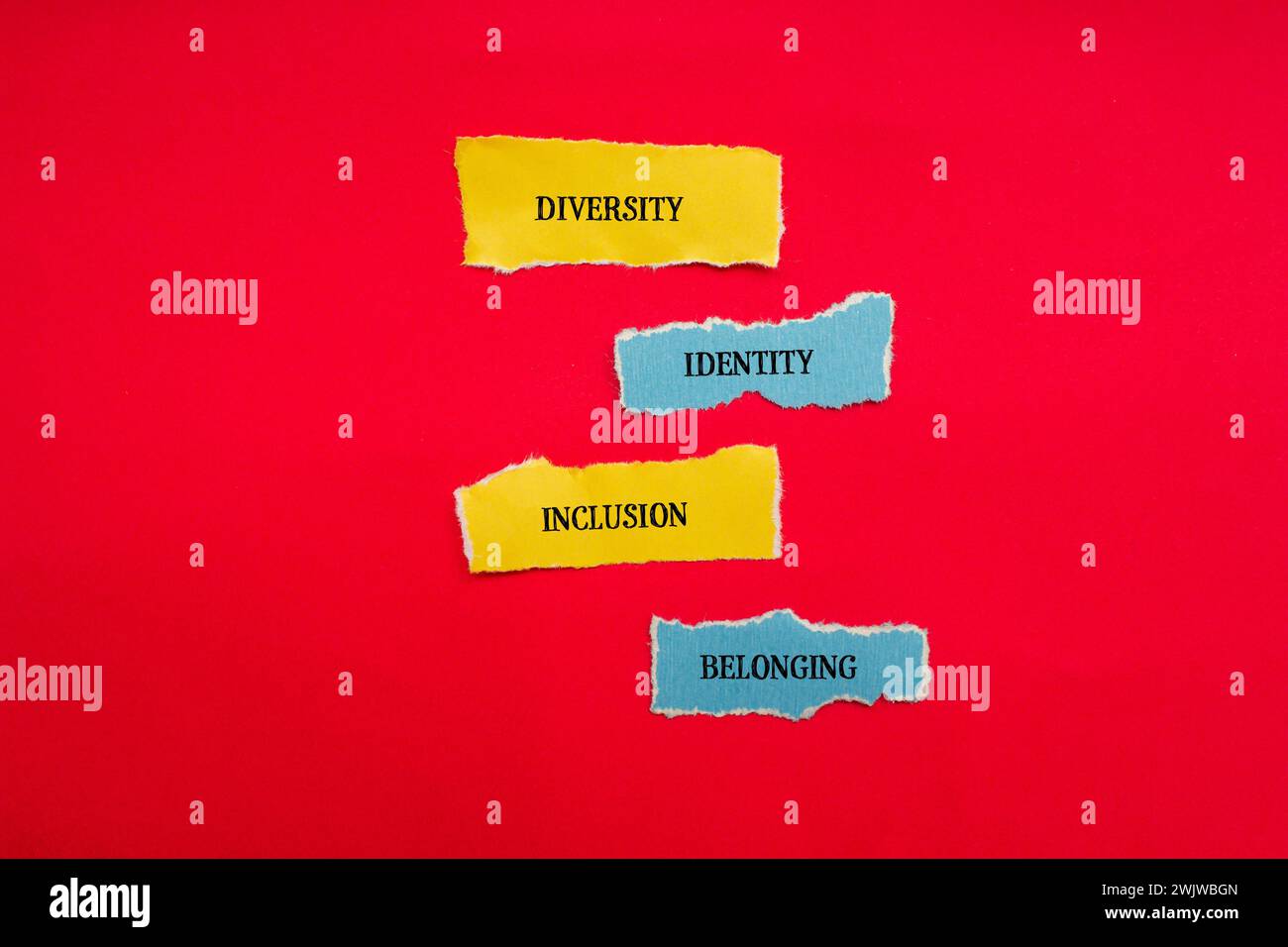 Vielfalt, Identität, Inklusion, zugehöriges Wort auf zerrissenen Papppapierstücken mit rotem Hintergrund. Konzeptsymbol. Kopierbereich. Stockfoto