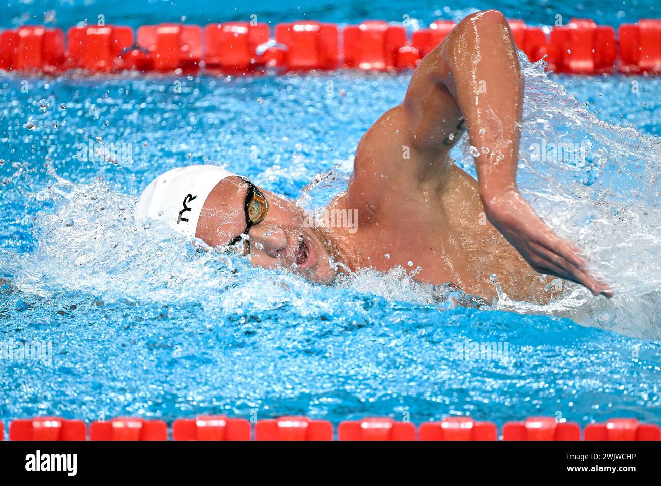 Doha, Katar. Februar 2024. Damien Joly aus Frankreich tritt am 17. Februar 2024 bei den 1500 m langen Freestyle Men Heats während der 21. Aquatics World Championships im Aspire Dome in Doha (Katar) an. Quelle: Insidefoto di andrea staccioli/Alamy Live News Stockfoto