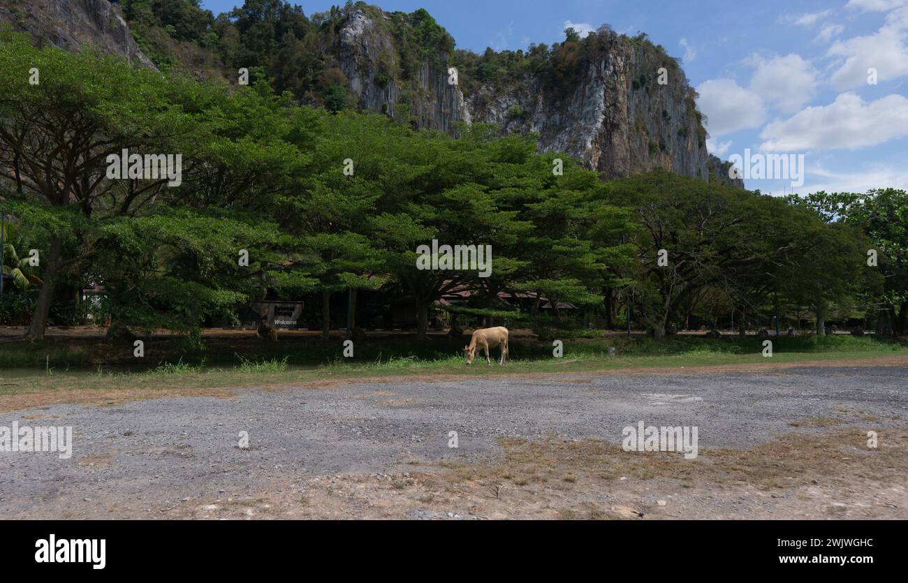 Gunung Keriang Kedah Stockfoto