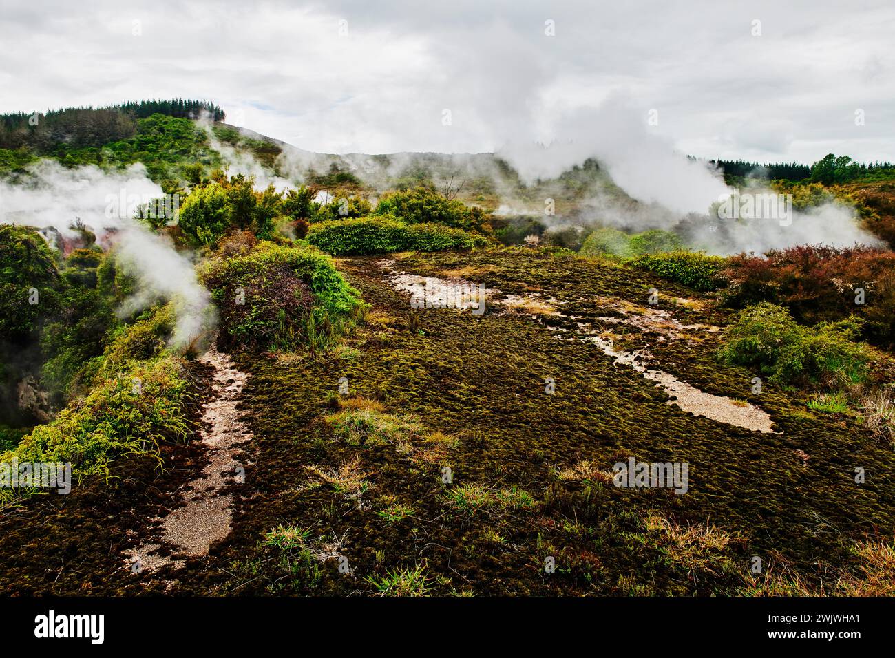 Landschaft des Orakei Korako Geothermal Park, Taupo, Nordinsel, Neuseeland Stockfoto