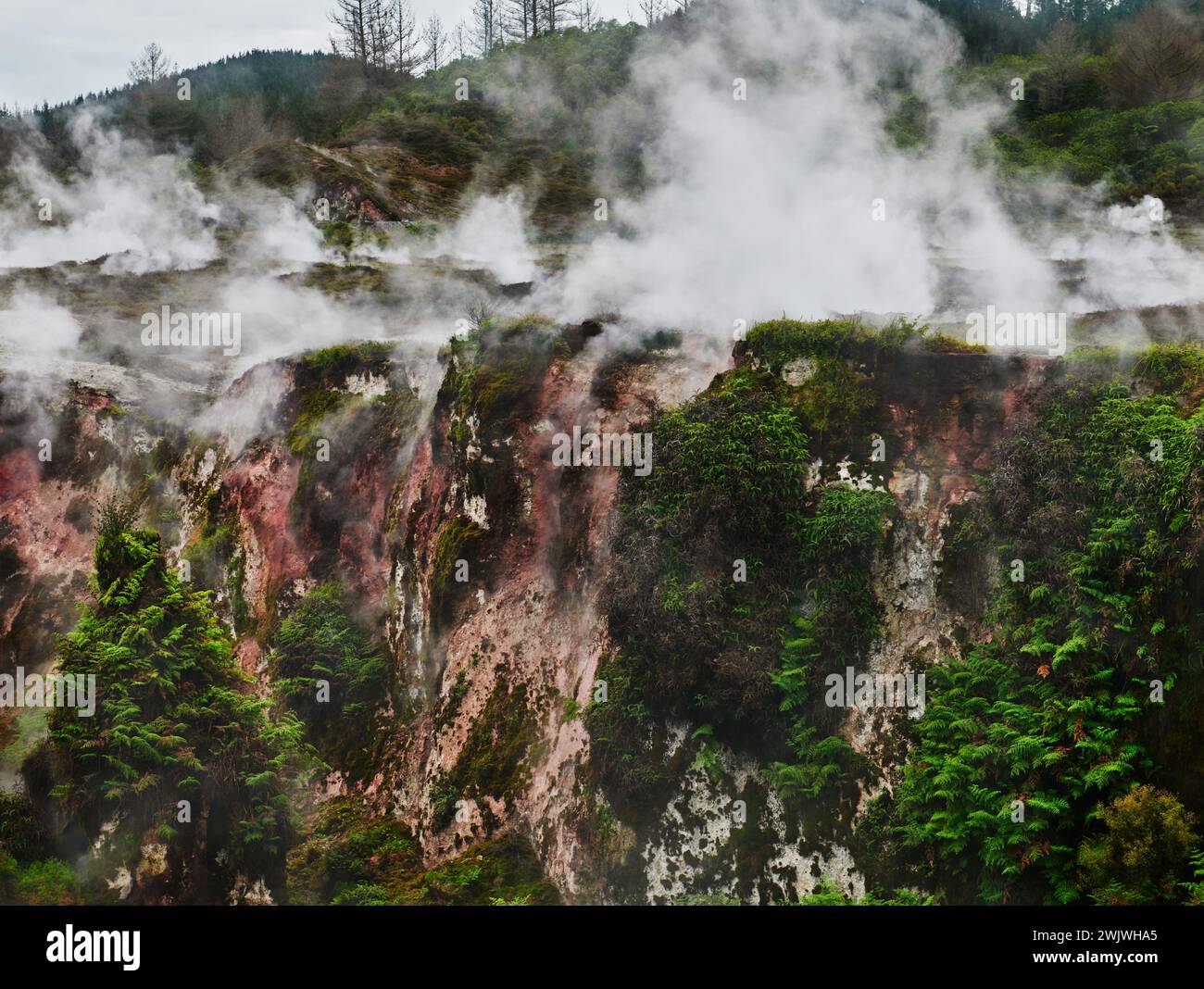 Landschaft des Orakei Korako Geothermal Park, Taupo, Nordinsel, Neuseeland Stockfoto