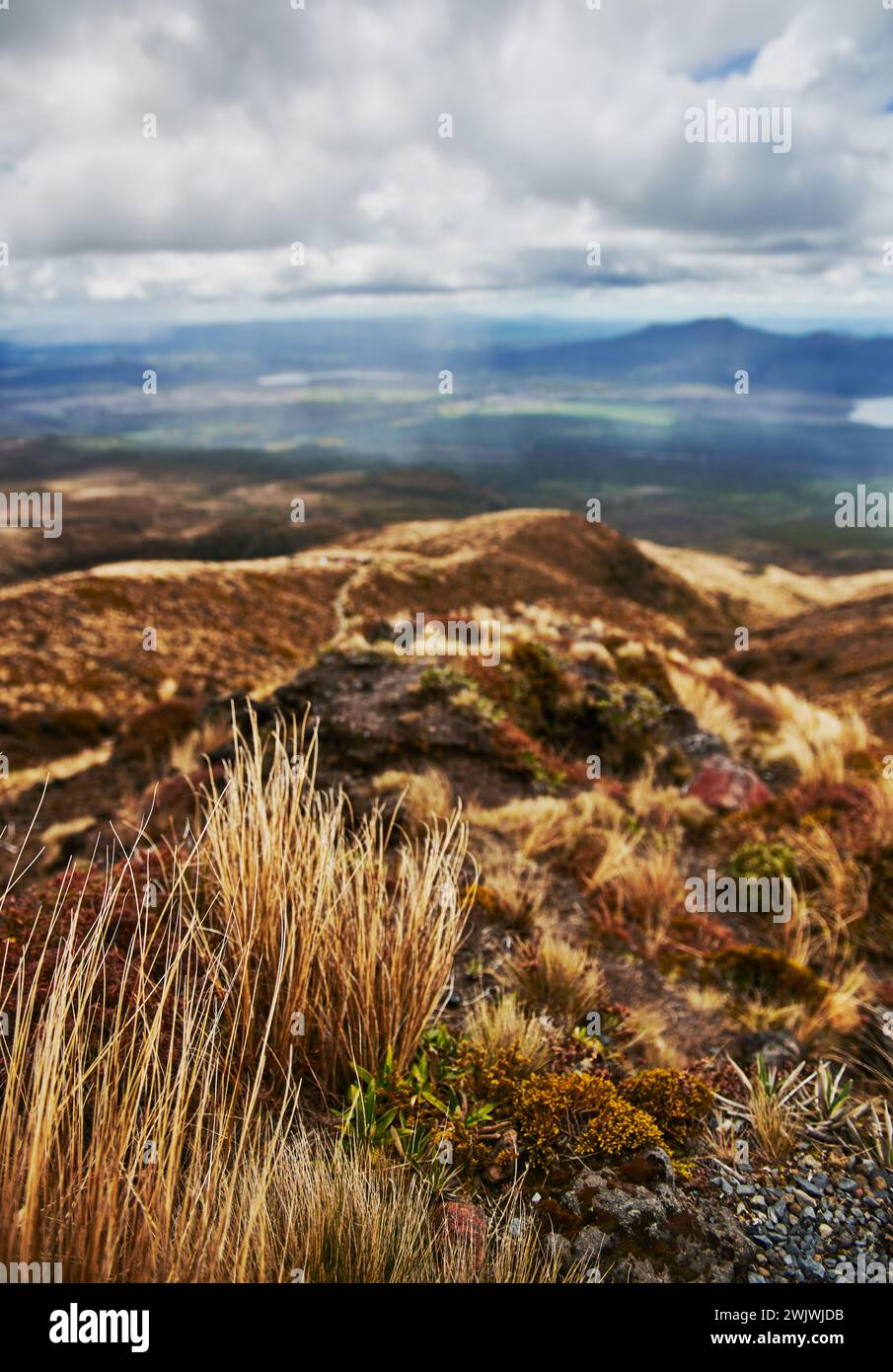 Tongariro Alpine Crossing Trail, Tongariro National Park, Nordinsel, Neuseeland Stockfoto