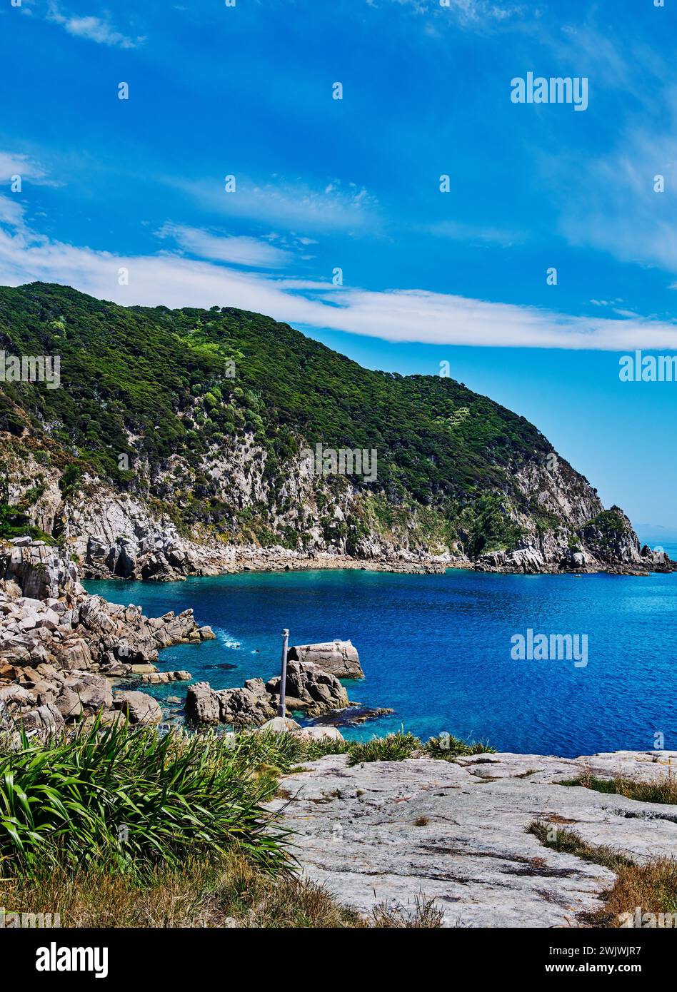 Landschaft entlang der Küstenstraße des Abel Tasman National Park, South Island, Neuseeland Stockfoto