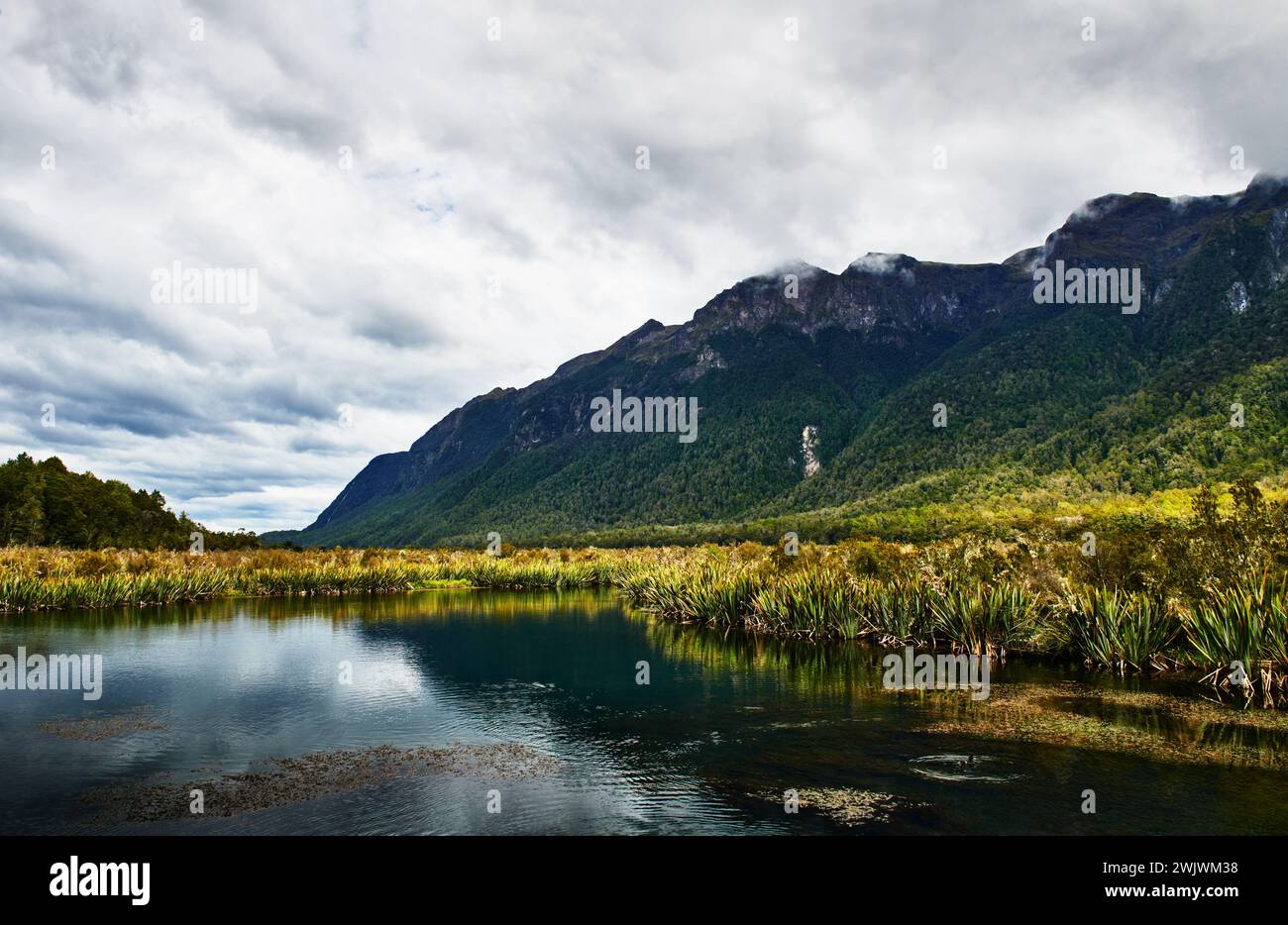 Landschaft des Fiordland National Park, Südinsel, Neuseeland Stockfoto