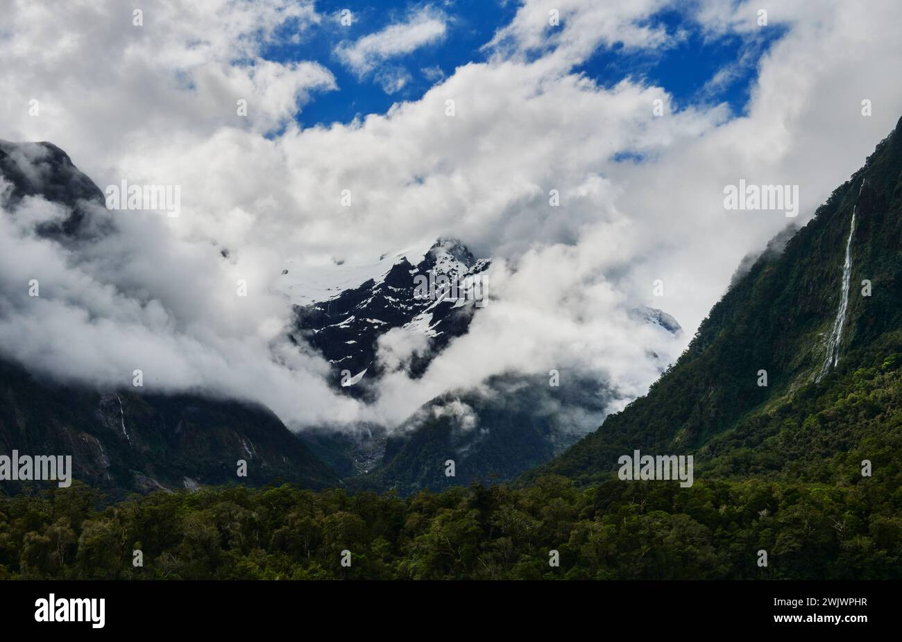 Landschaft des Milford Sound / Piopiotahi, Südinsel, Neuseeland Stockfoto